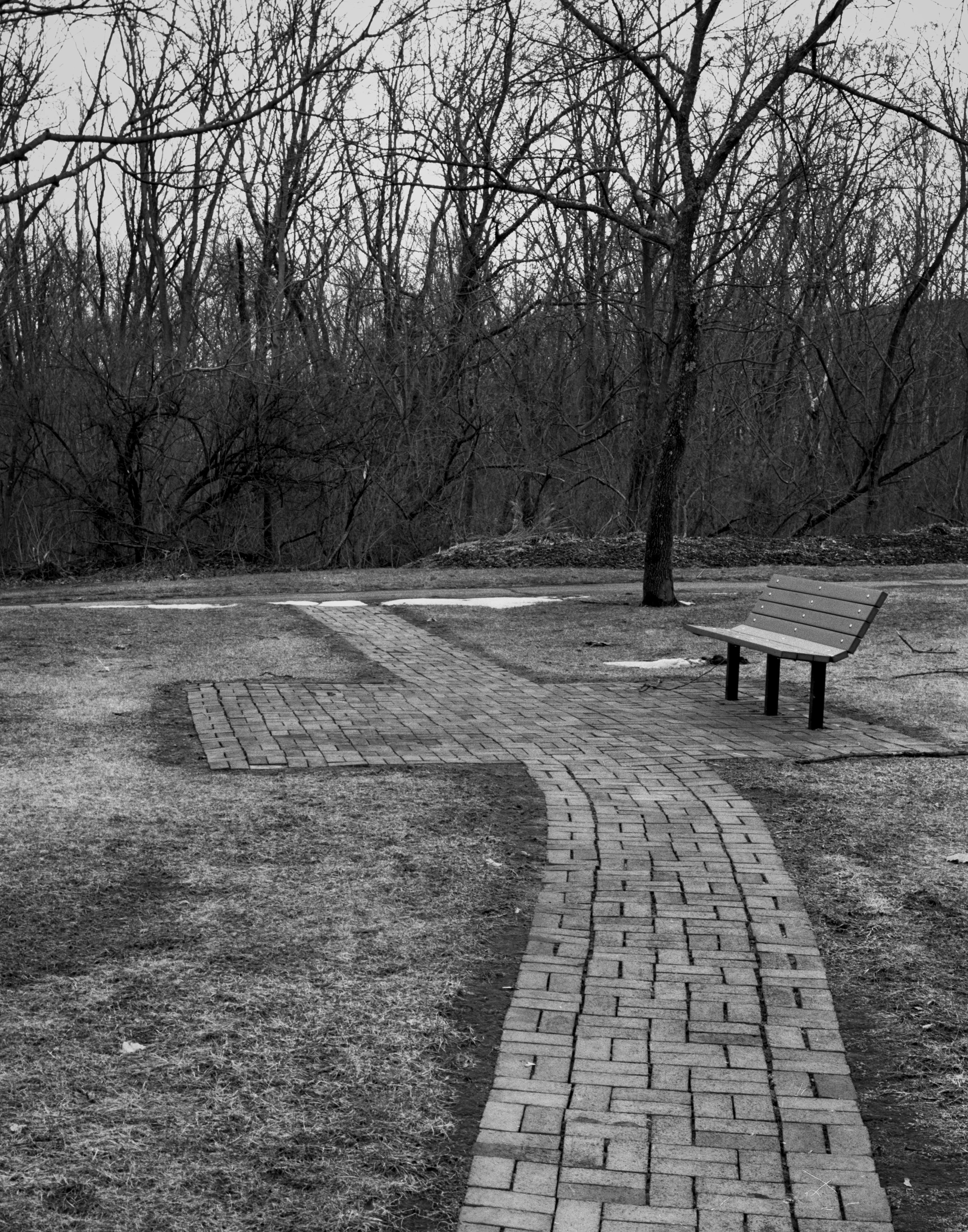 4x5 for 365 project (15/365)