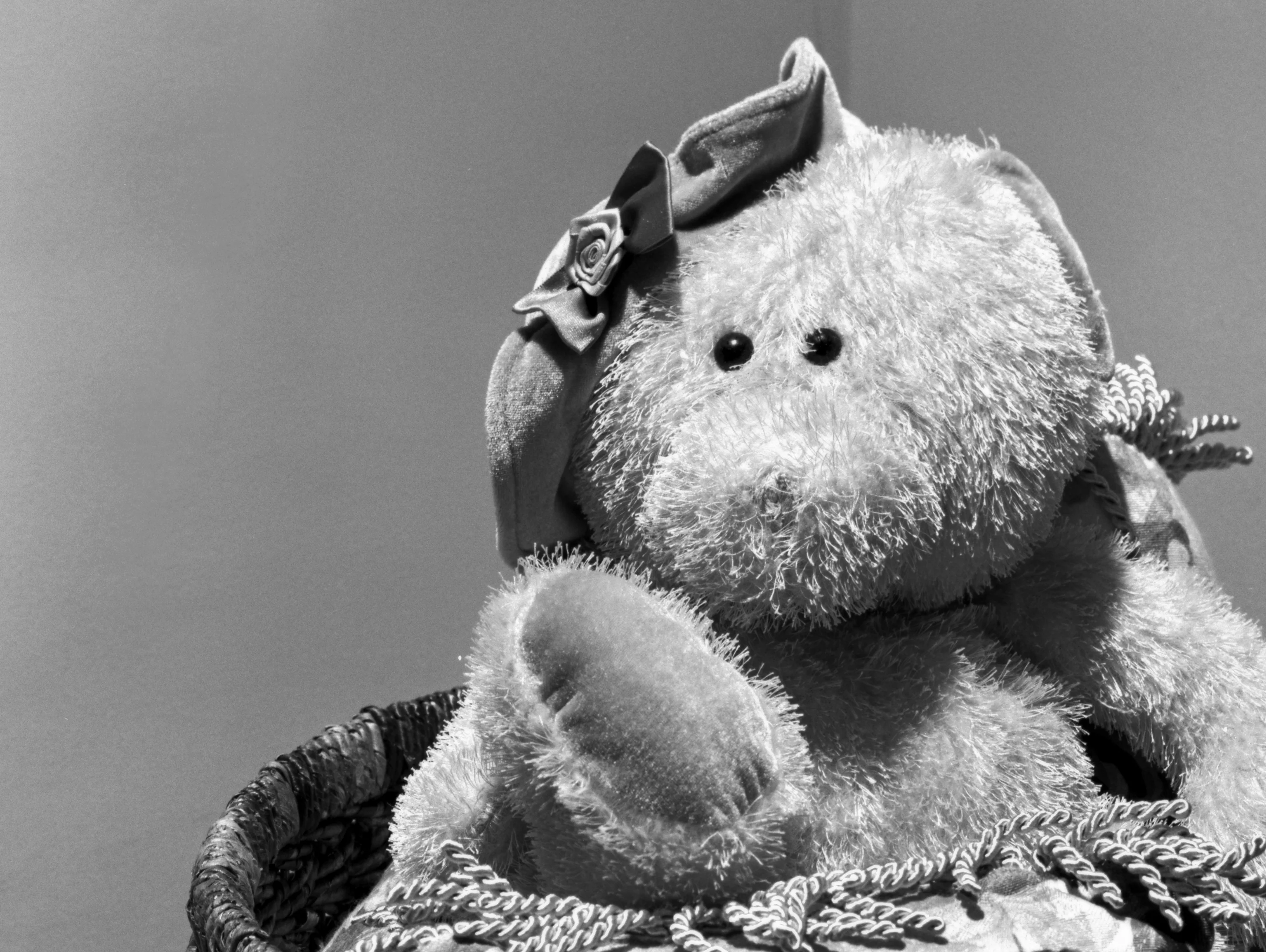 4x5 for 365 project (18/365)
