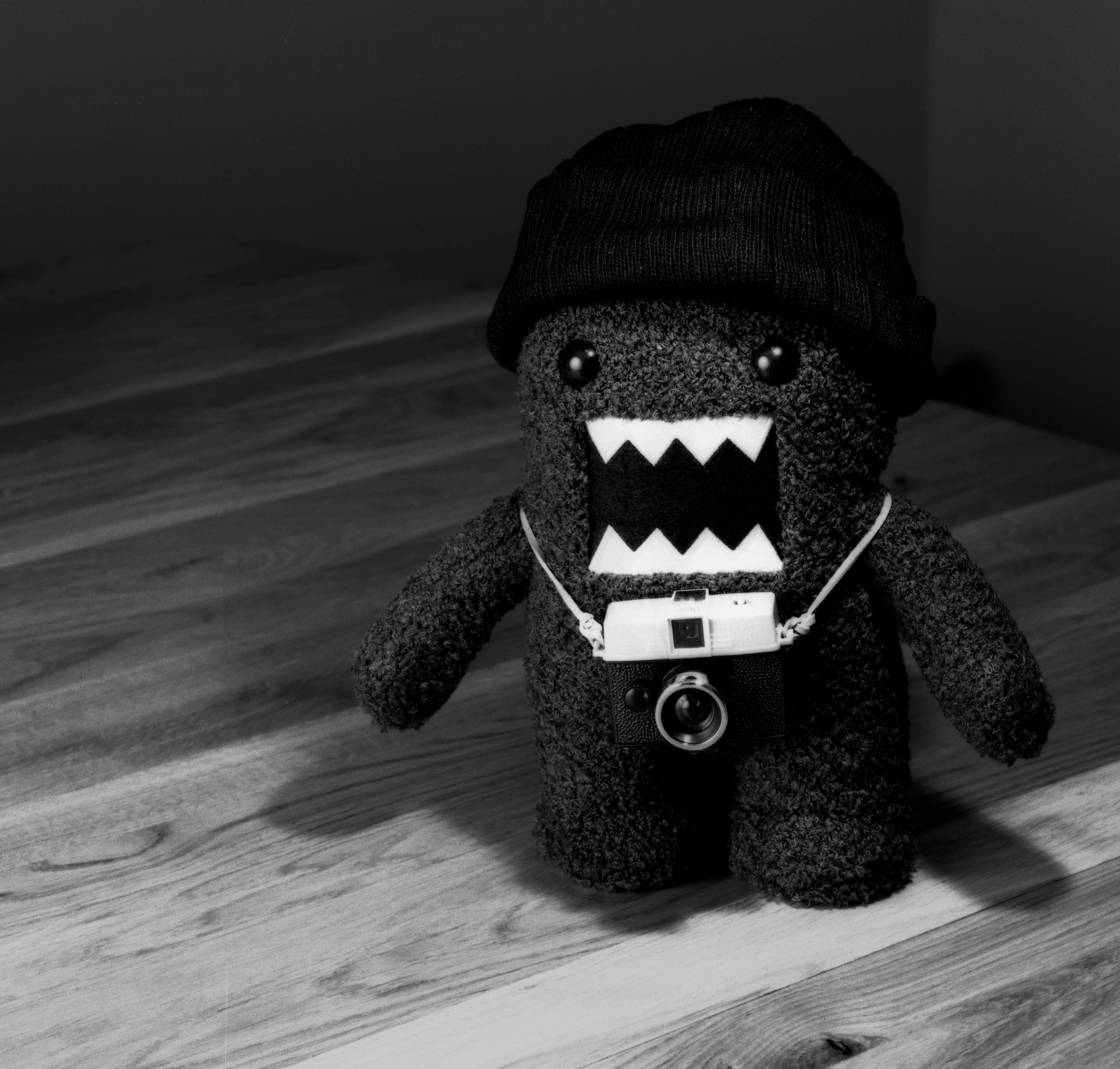 4x5_for_365_project_029_Domo_Angry_Tourist.jpg