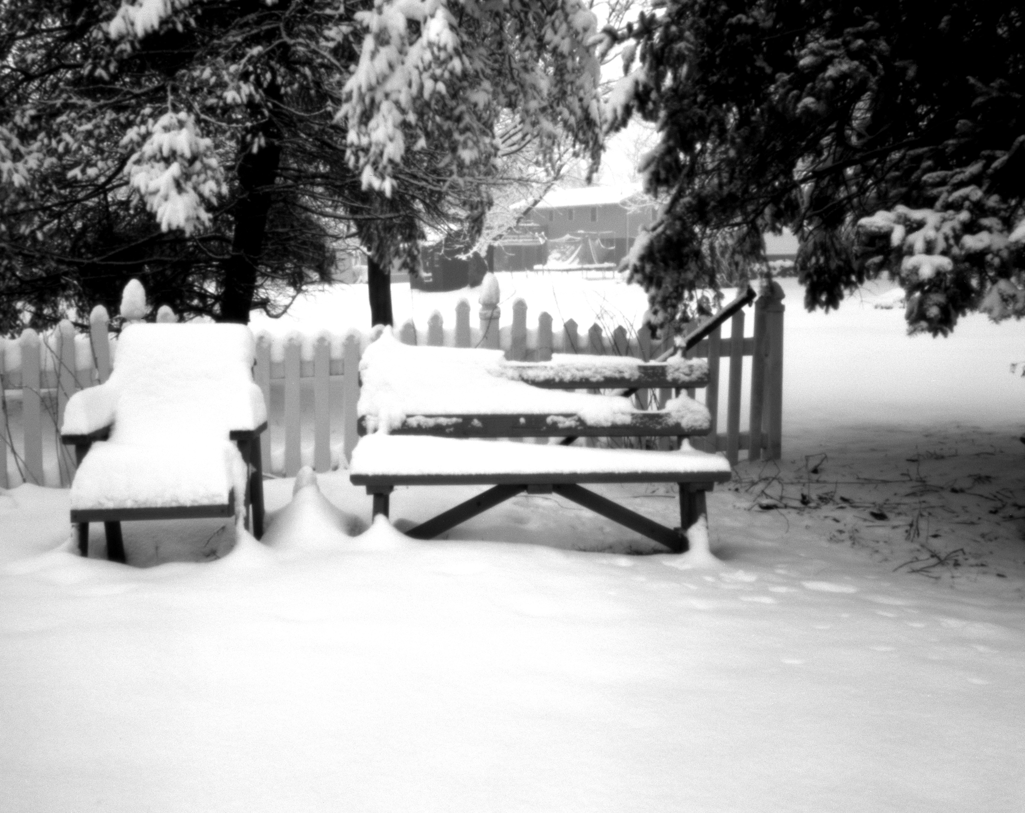 4x5_for_365_project_040_Backyard_Snow_Benches.jpg