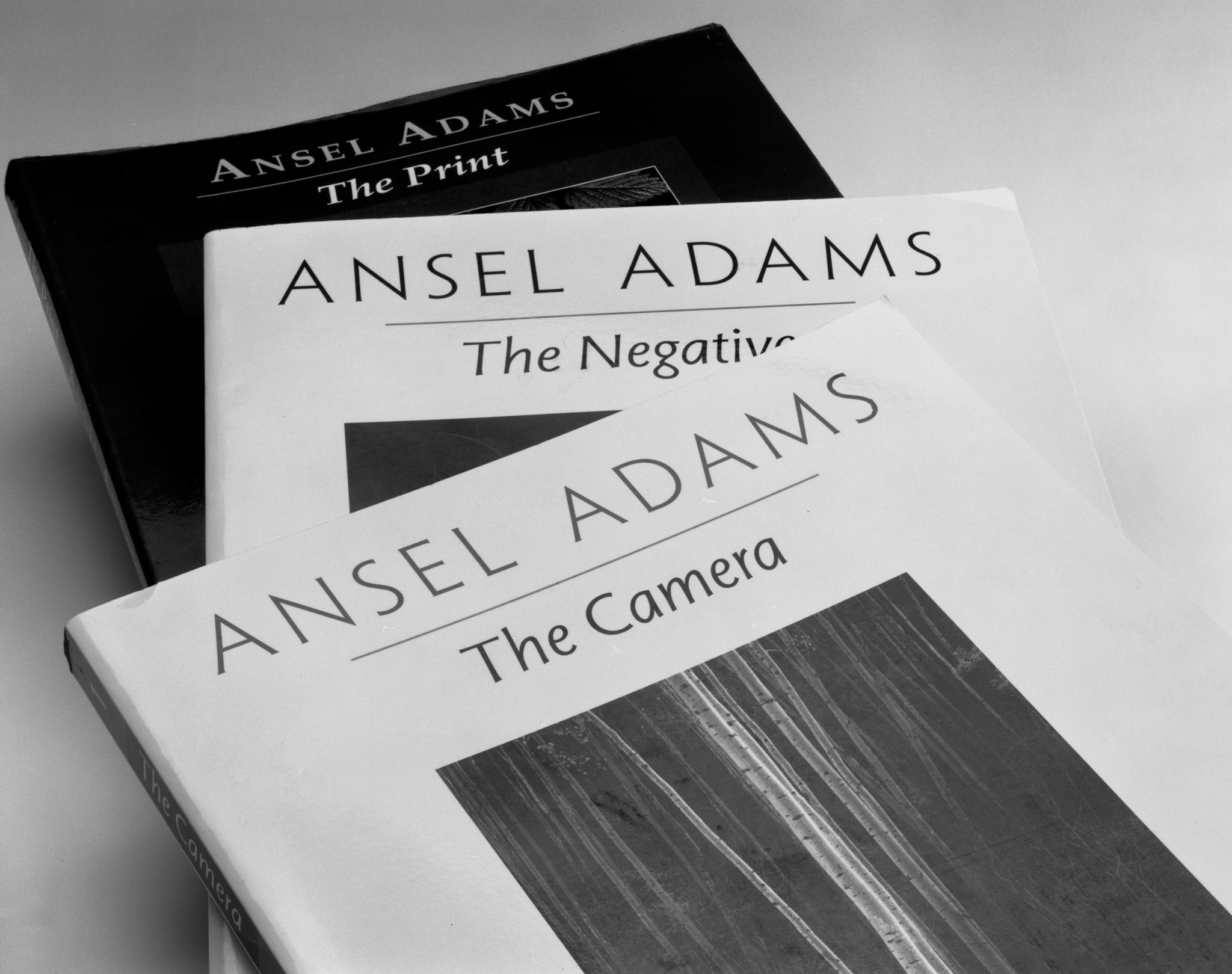 4x5 for 365 project (45/365)