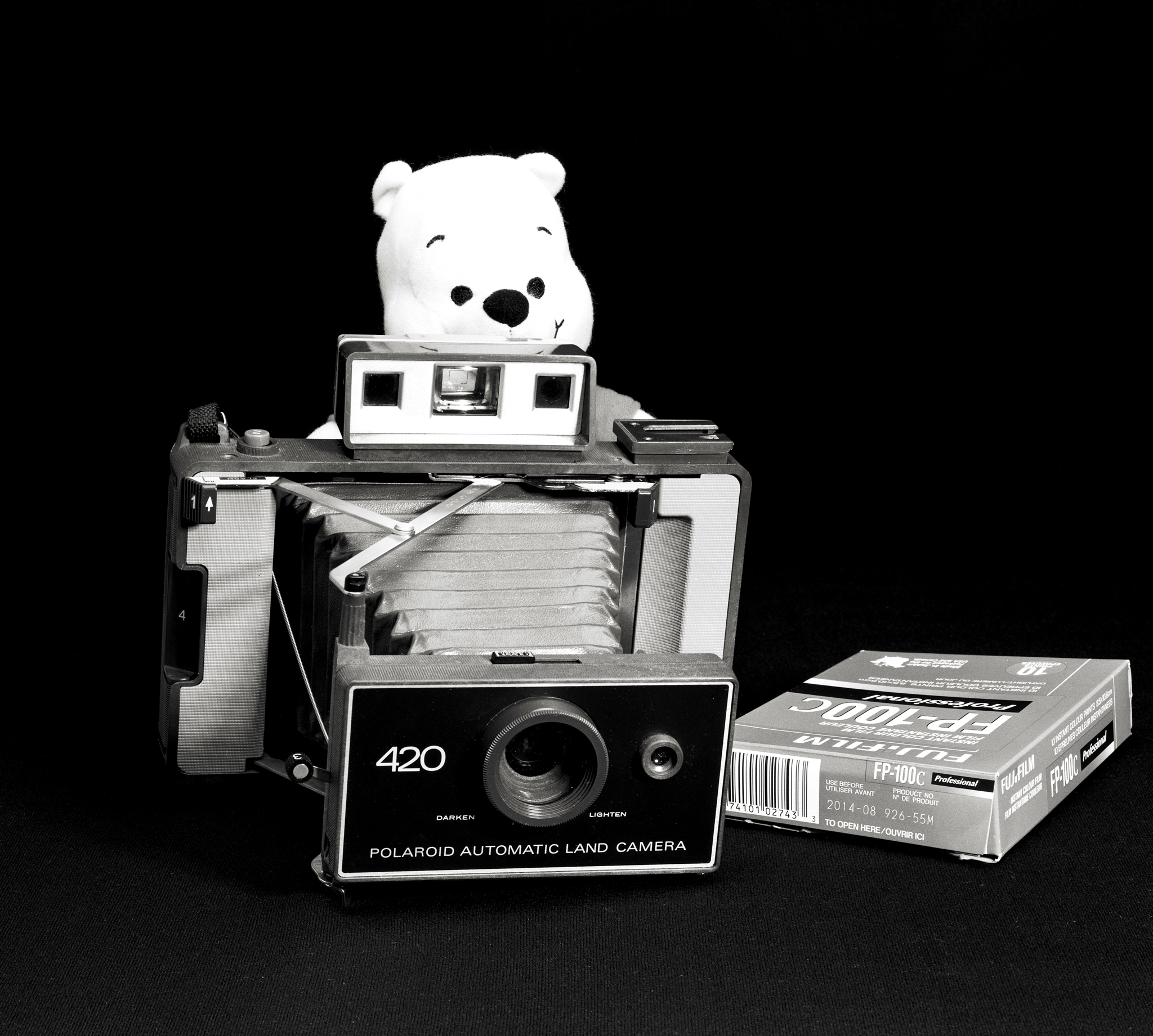 4x5_for_365_project_046_Poohlaroid.jpg