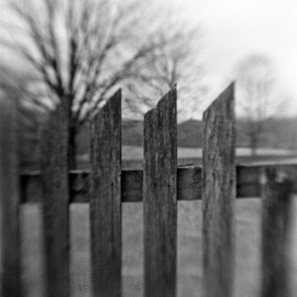 And when I awoke I found these fences had appeared to come to me not as a symbol of restrictions but rather as a challenge, a new stream to cross, a new fence to jump. I must remember to wear my good running shoes today. 