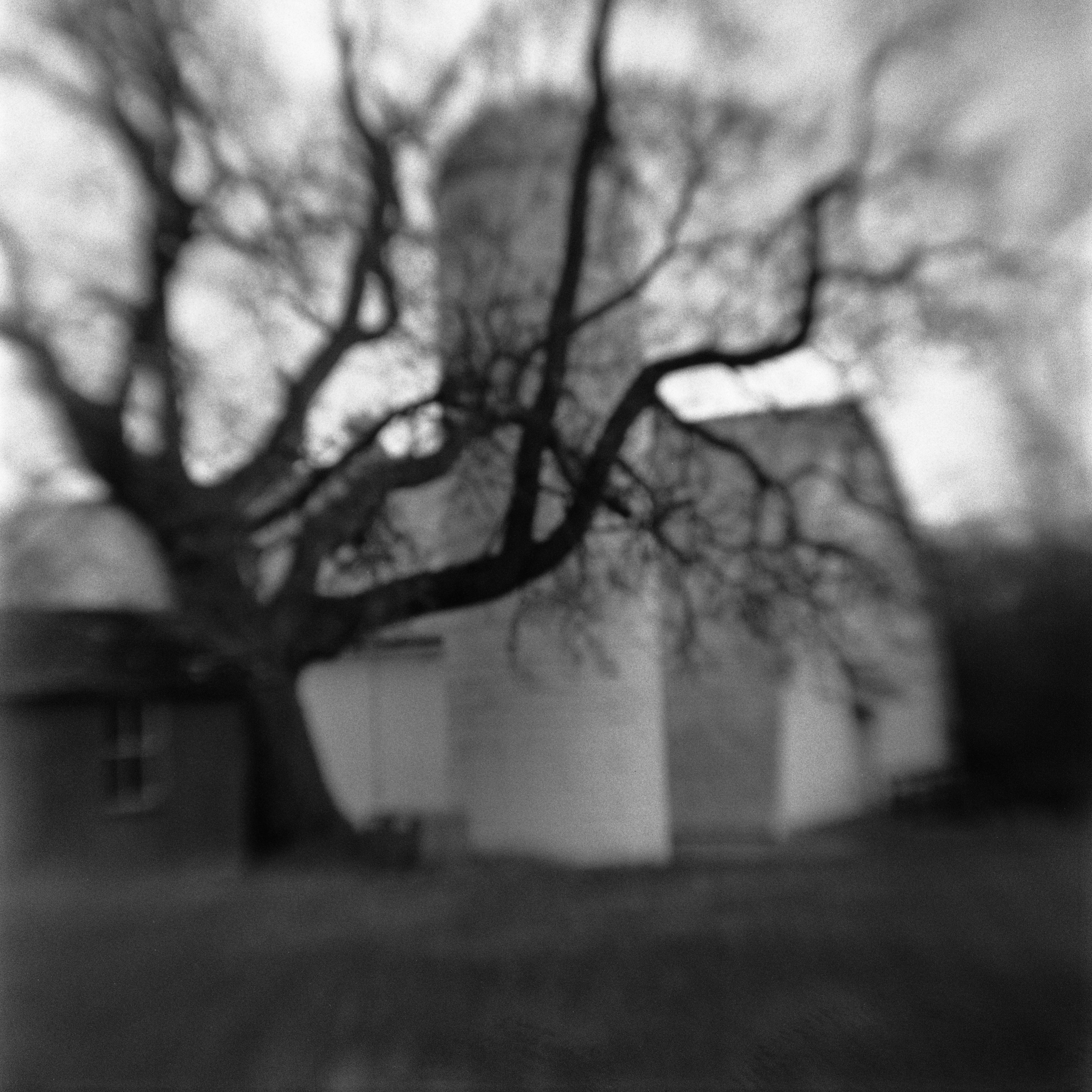 And when I awoke I could still feel the cold Winter chill across the back of my neck. Thoughts of the barn still linger. I wish I had the forethought to go inside.