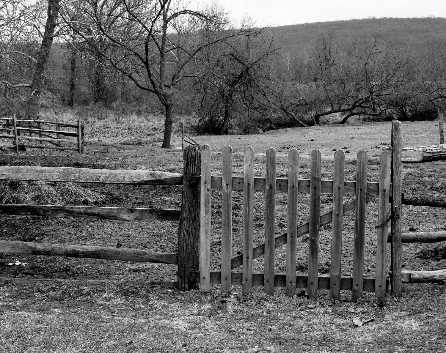 4x5_for_365_project_0351_Hopewell_Furnace_corral_gate.png