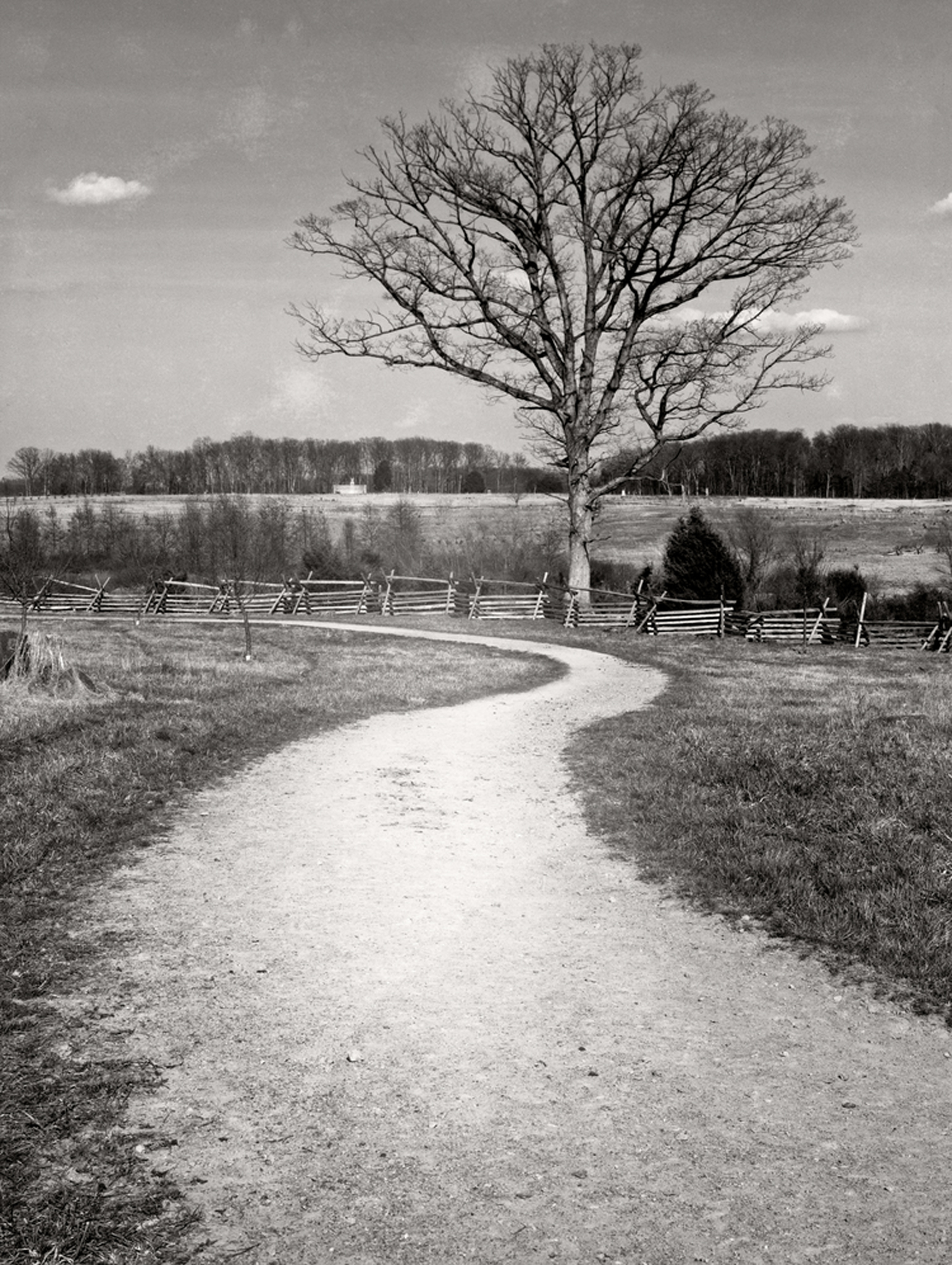  A curved horse path on the Tostle Farm at Gettysburg. 