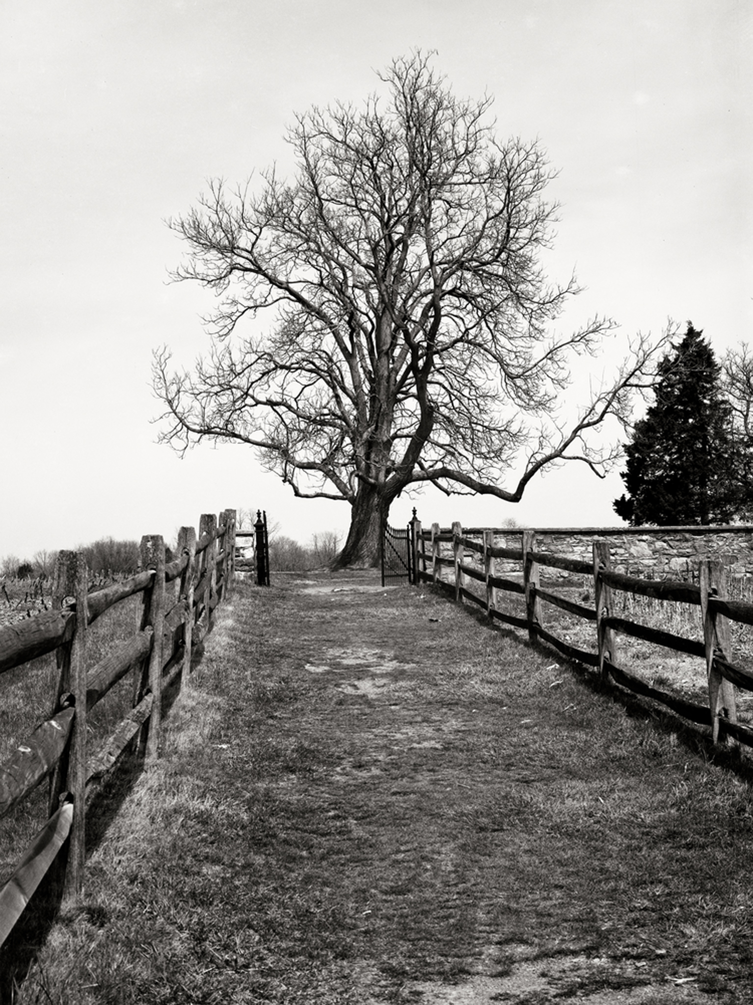  Path to family &nbsp;cemetery on Mumma Farm at Antietam.&nbsp; 