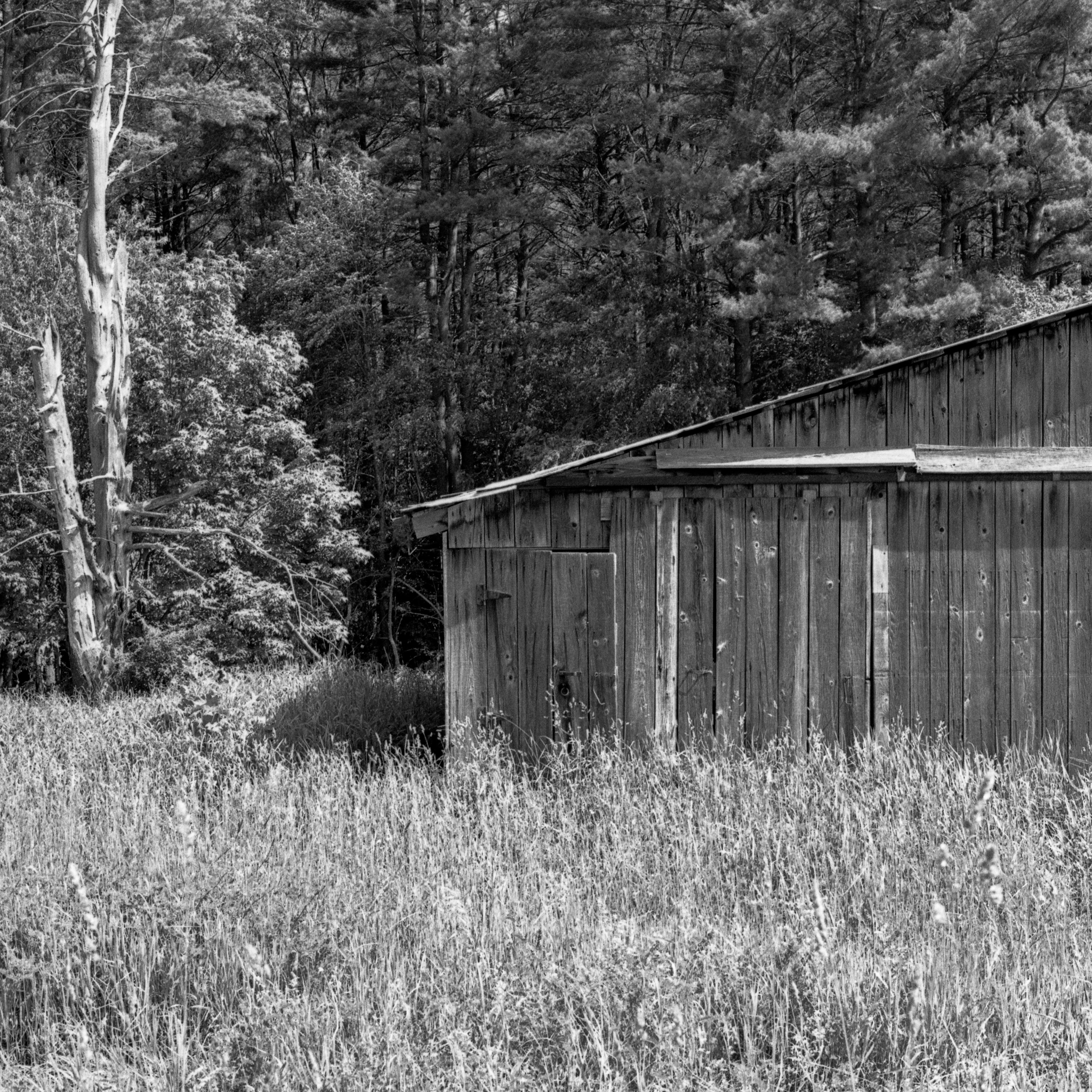 Tractor barn.  Trout Run, PA.