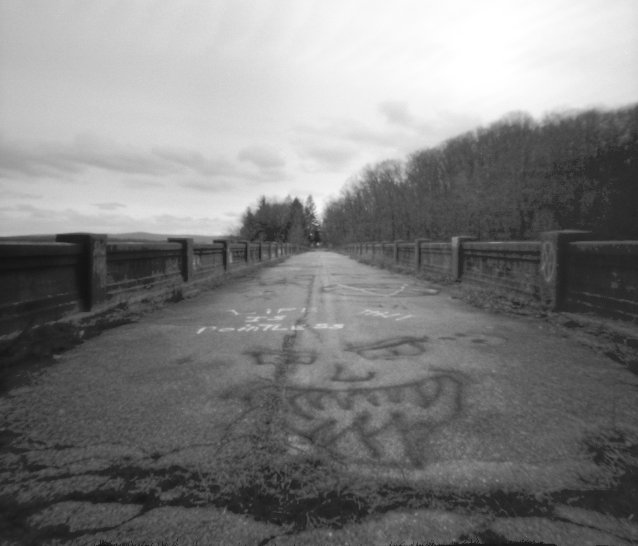 Lake Ontelaunee abandoned West Shore Bridge.&nbsp; Ontelaunee Township, Pennsylvania.&nbsp; Zero Image 6x9 using 6x7 mode.&nbsp; 