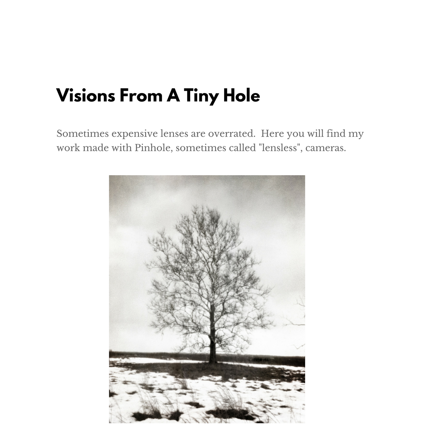 visions_gallery_splash_page.png