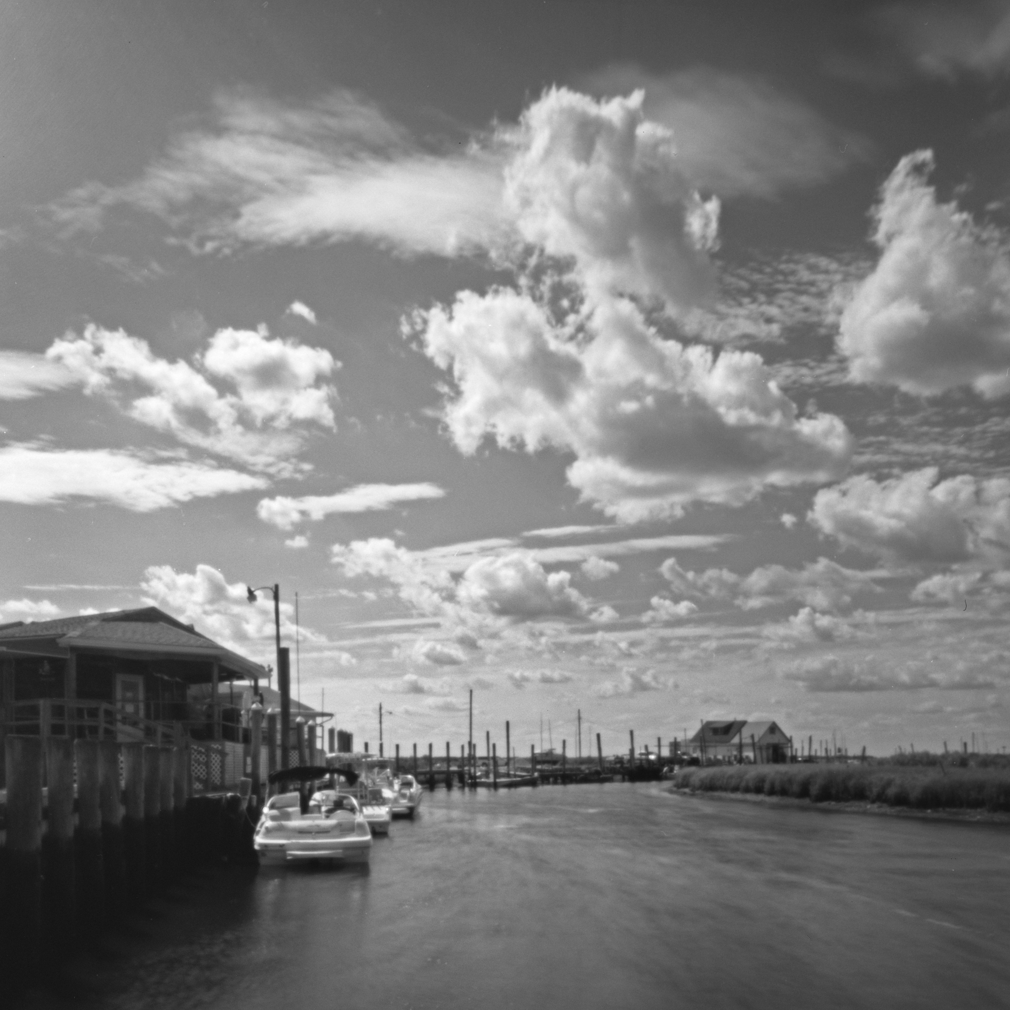 Otter pond, Leeds Point, New Jersey. Zero Image 4x5, 75mm cropped square.