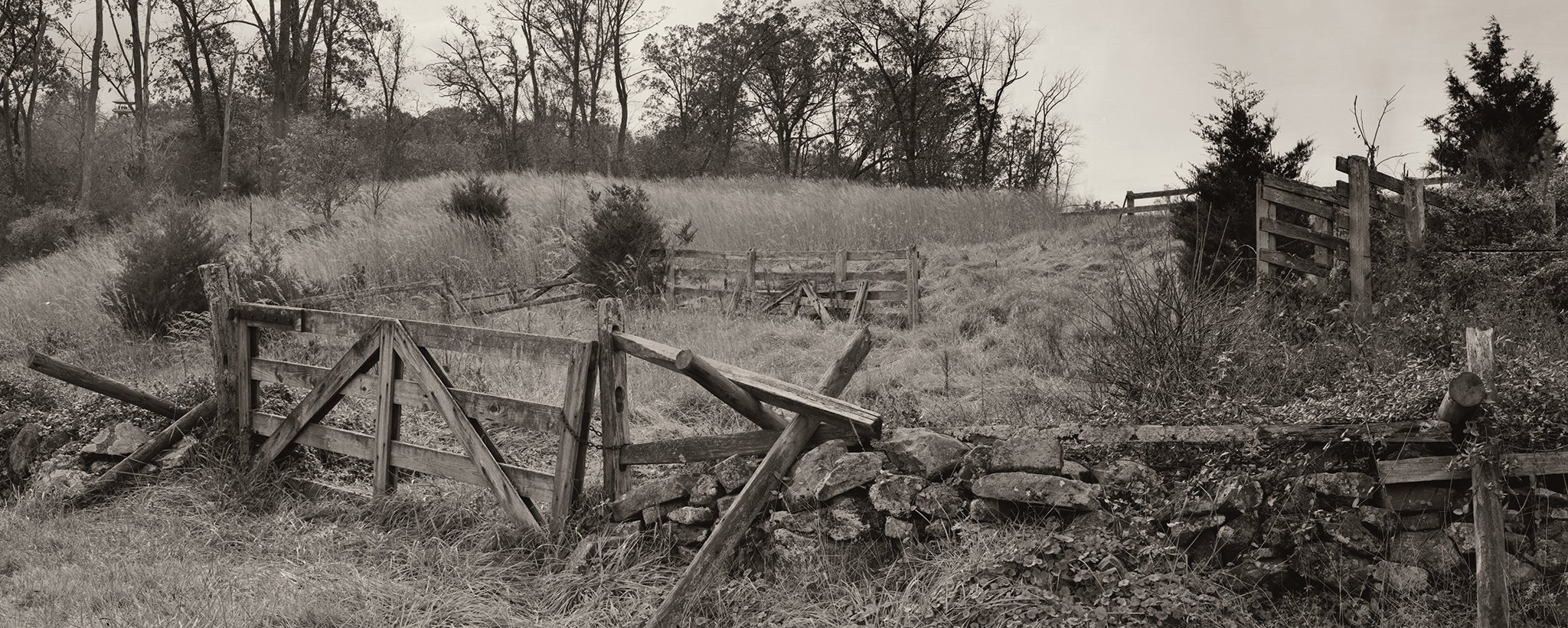 2021-11-07_Gettysburg_Culps_Hill_cattle_Ramp_horizontal_4x10_210mm_Fujinon-W_Ektascan_at_80_PyrocatHD_1_1_100_9mins_001 copy.jpg