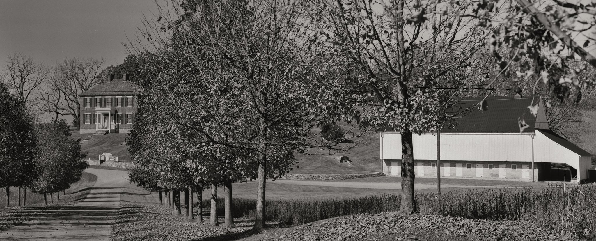 2021-1-07-_Antietam_Pry_house_road_and_trees_4x10_300mm_Ektascan_at_80_PyrocatHD_1_1_100_9mins copy.jpg