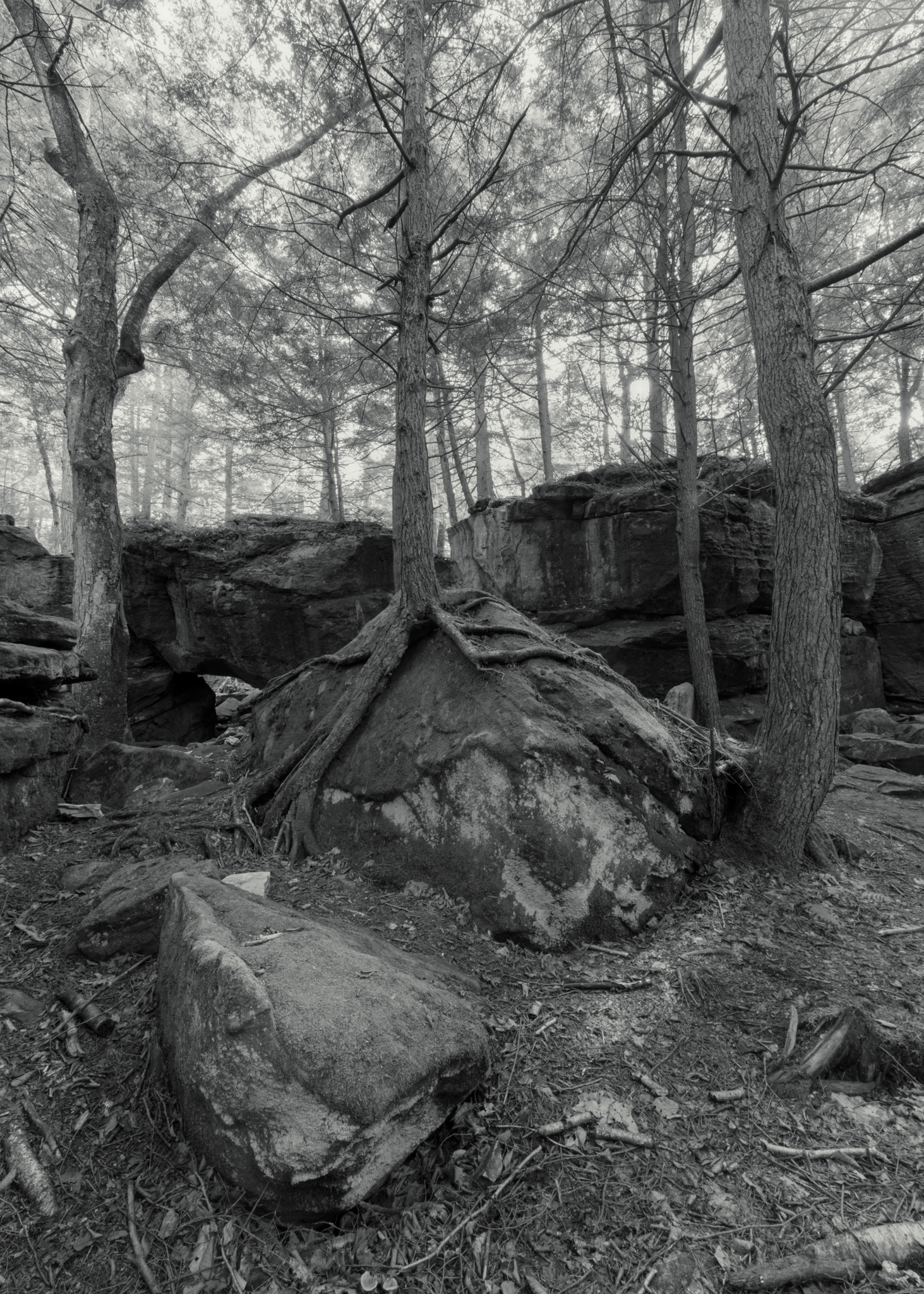  Bilgers Rocks, Grampian, Pennsylvania. 