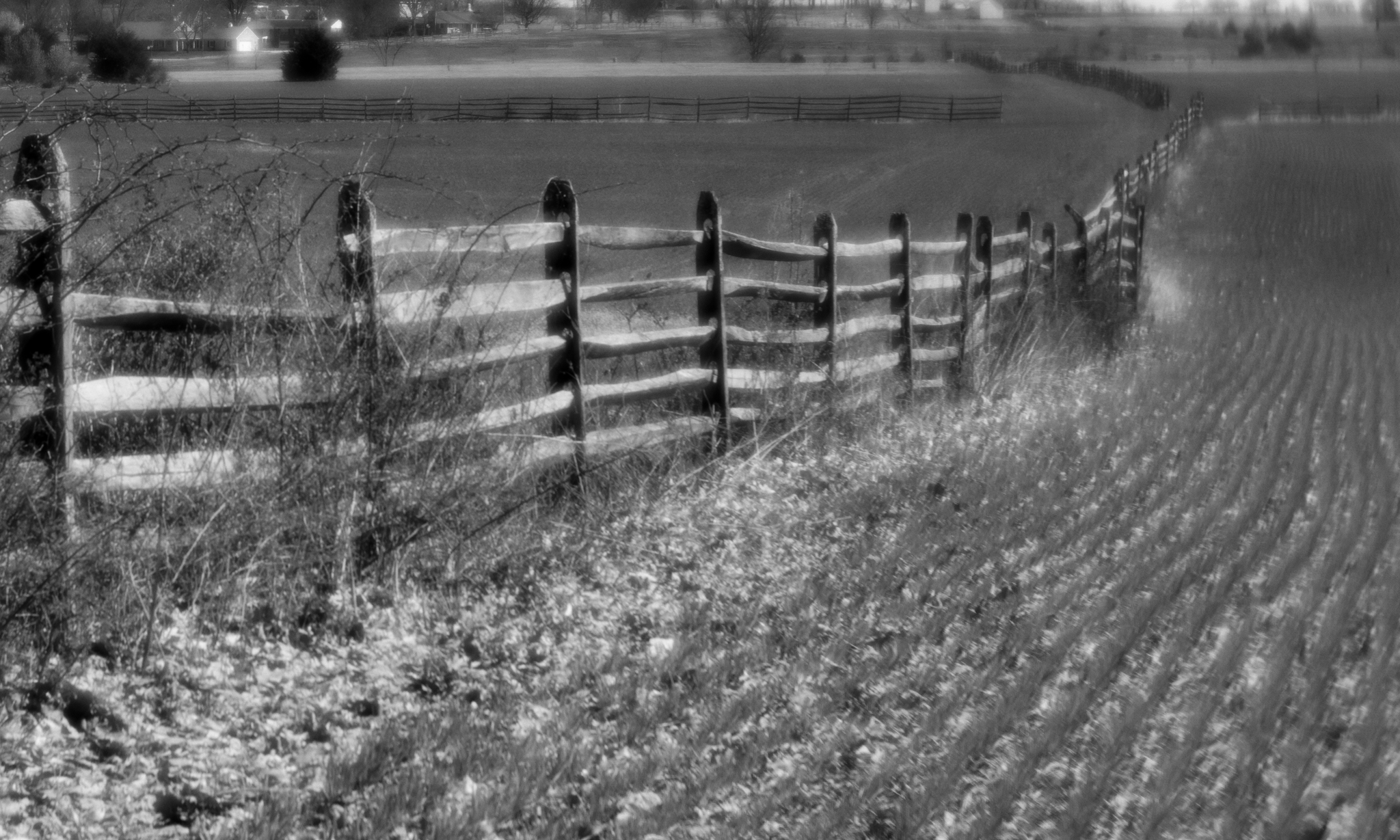  Gettysburg Battlefield looking towards what was once the Bliss family farm. 