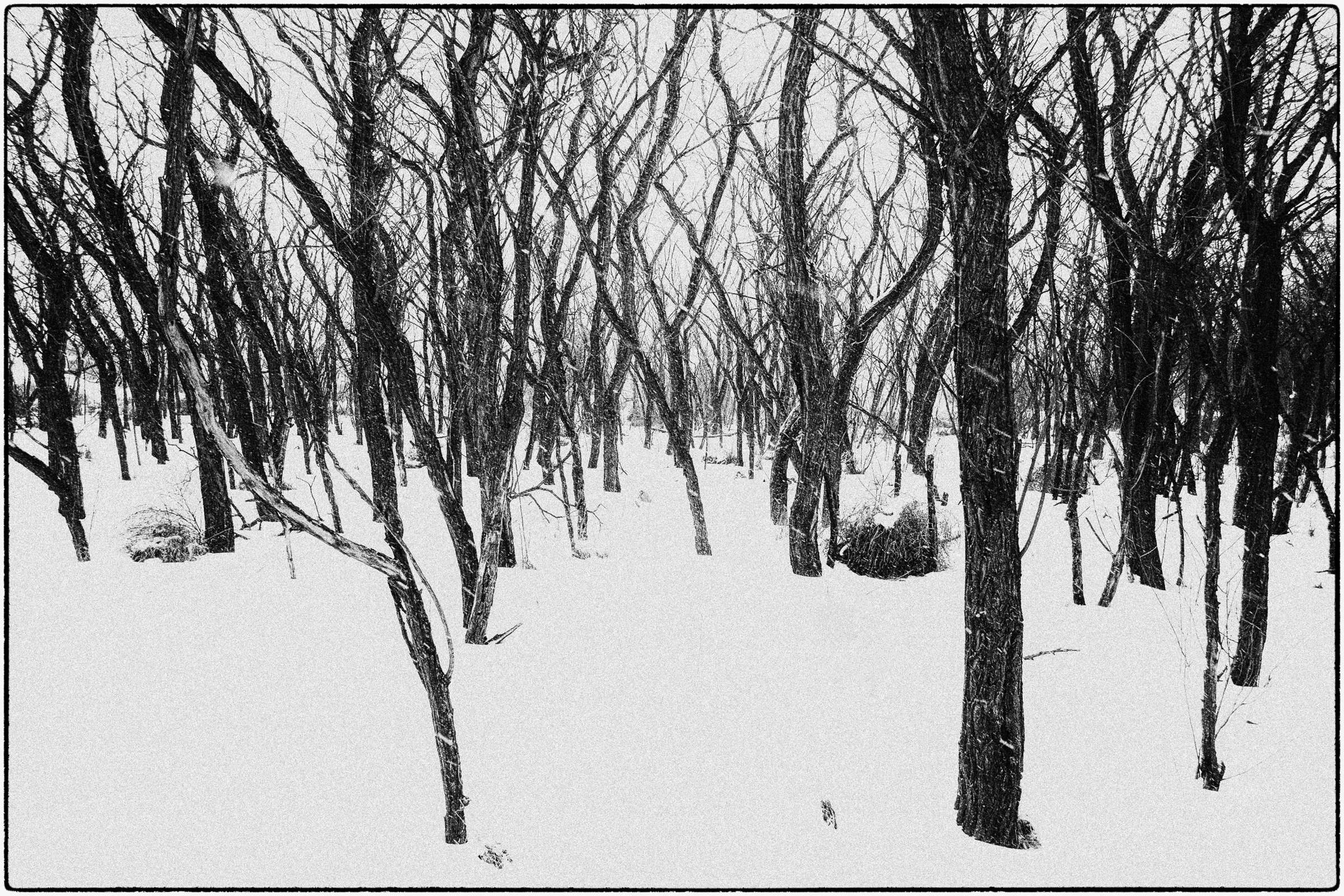 Whole lives are spent closing the gap of distance. Science calculates the trajectory of the earth in relation to its solar system and the resolute member of the Lonely Hearts Club keeps reaching out a hand to a someone or something that is or isn’t there. The opposite of distance is closeness. Closeness leads us to believe in comfort but what happens when closeness is too close for comfort? We feel encroached upon or stifled and even lose our ability for objective reasoning. Like anything to be experienced by the human condition; real or imagined, too much of any one thing can prove to be dubious. There is no argument for or against more closeness or for more distance. Their waves wash over us as they do and the tide rolls out in its own time. It is about what we do when we are submerged in our distances and its product revealed when the gap between distance and closeness shortens.