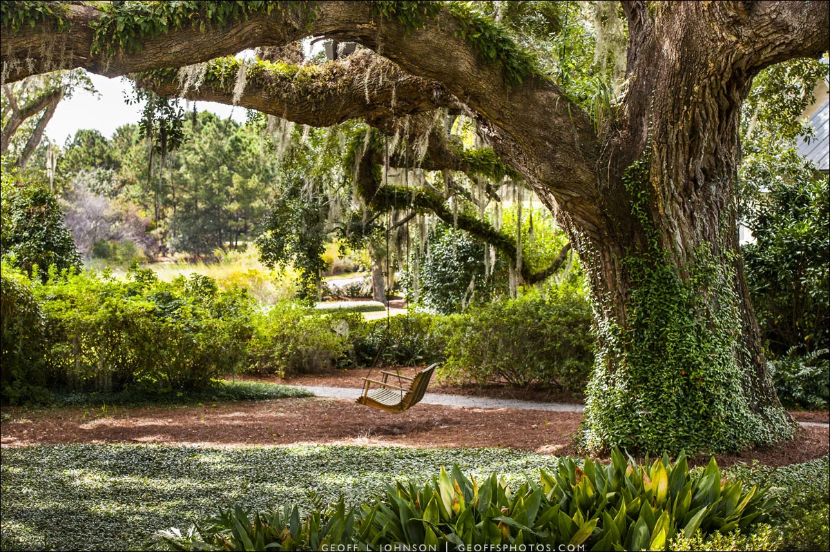 Brie & Chris | Oldfield Plantation