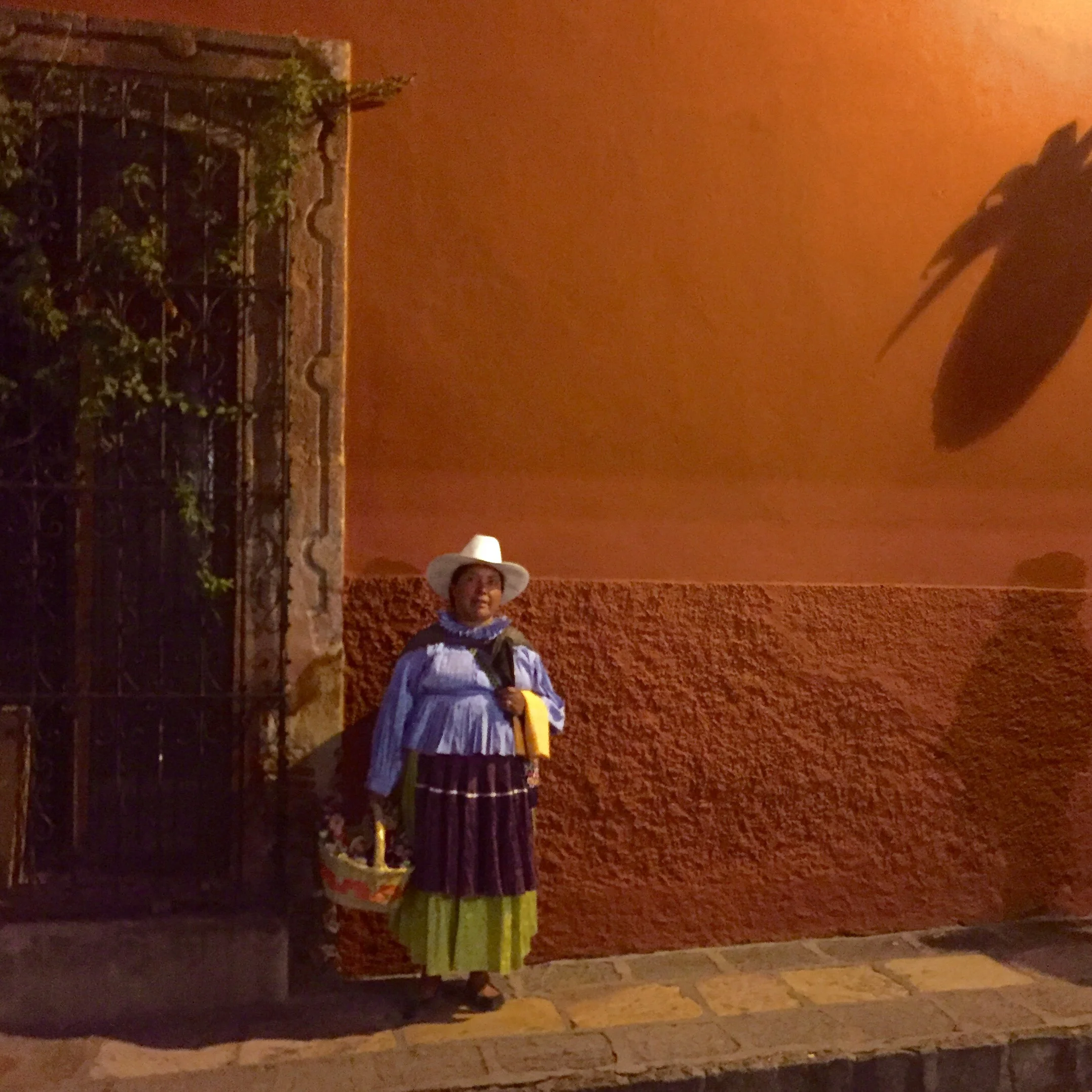san miguel de allende