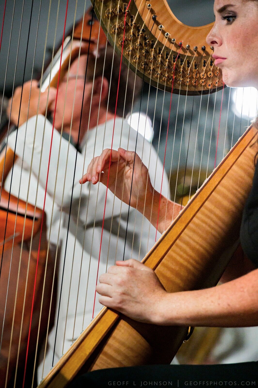 Picnic in the Park 2019 | Savannah Philharmonic
