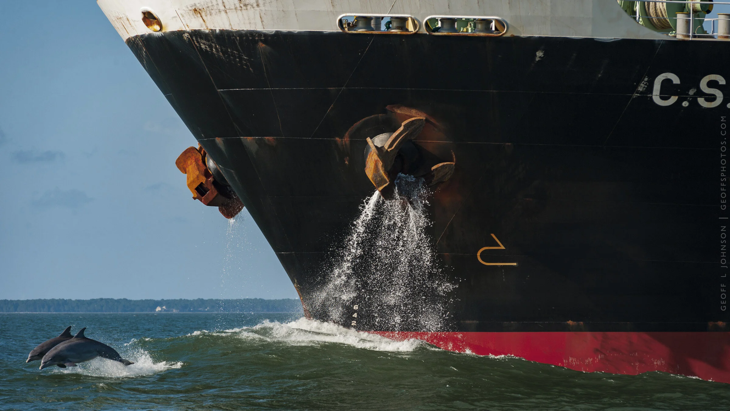 14_38x80_DolphinsCargoShip_GeoffLJohnson.jpg