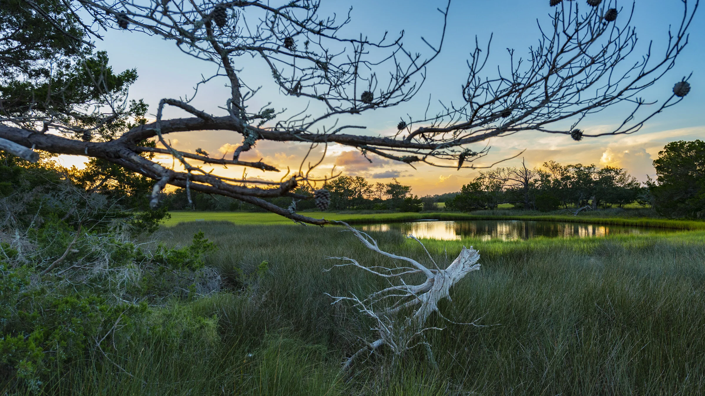 03_Sapelo_Nature_Sunset_01_GeoffLJohnson.jpg