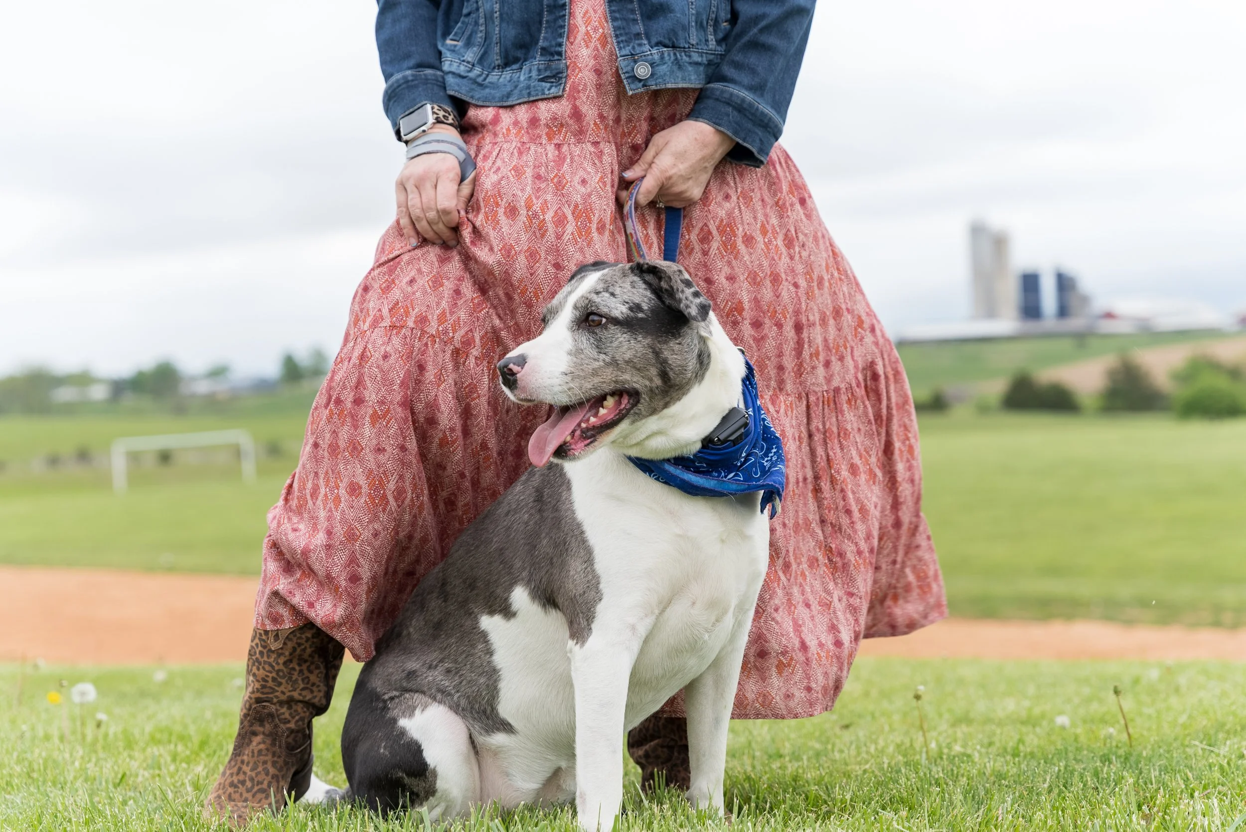 2022-05-13 - Pet Portraits - Full Res-1014.jpg