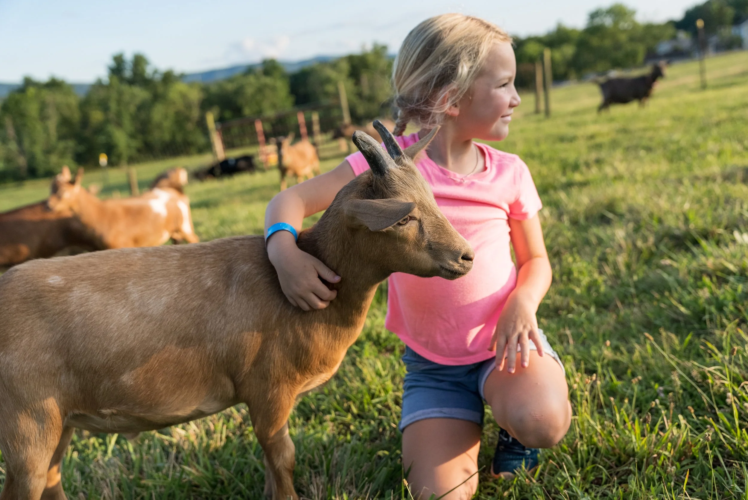 2022-08-03 - Kids n Goats Stock - Full Res-1042.jpg