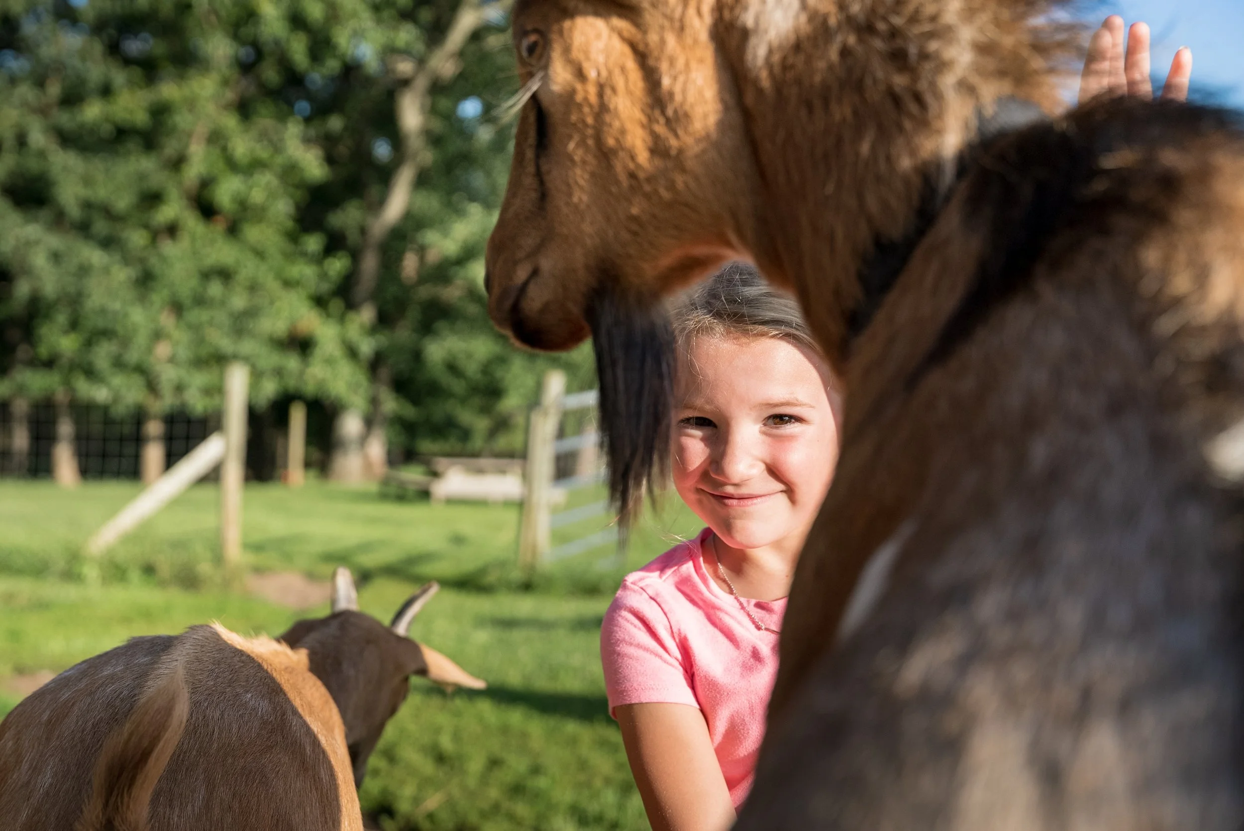 2022-08-03 - Kids n Goats Stock - Full Res-1004.jpg