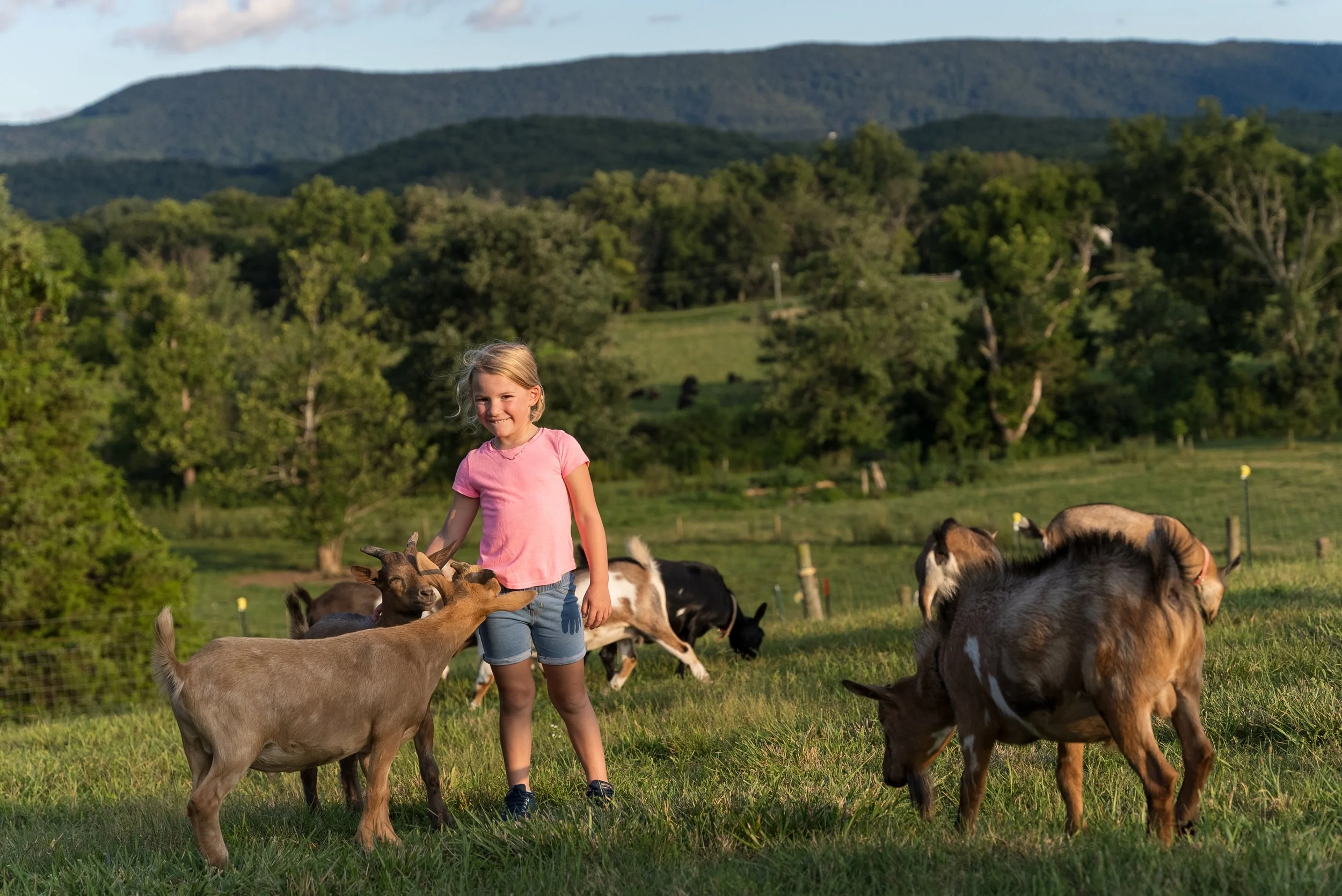 2022-08-03 - Kids n Goats Stock - Full Res-1037.jpg