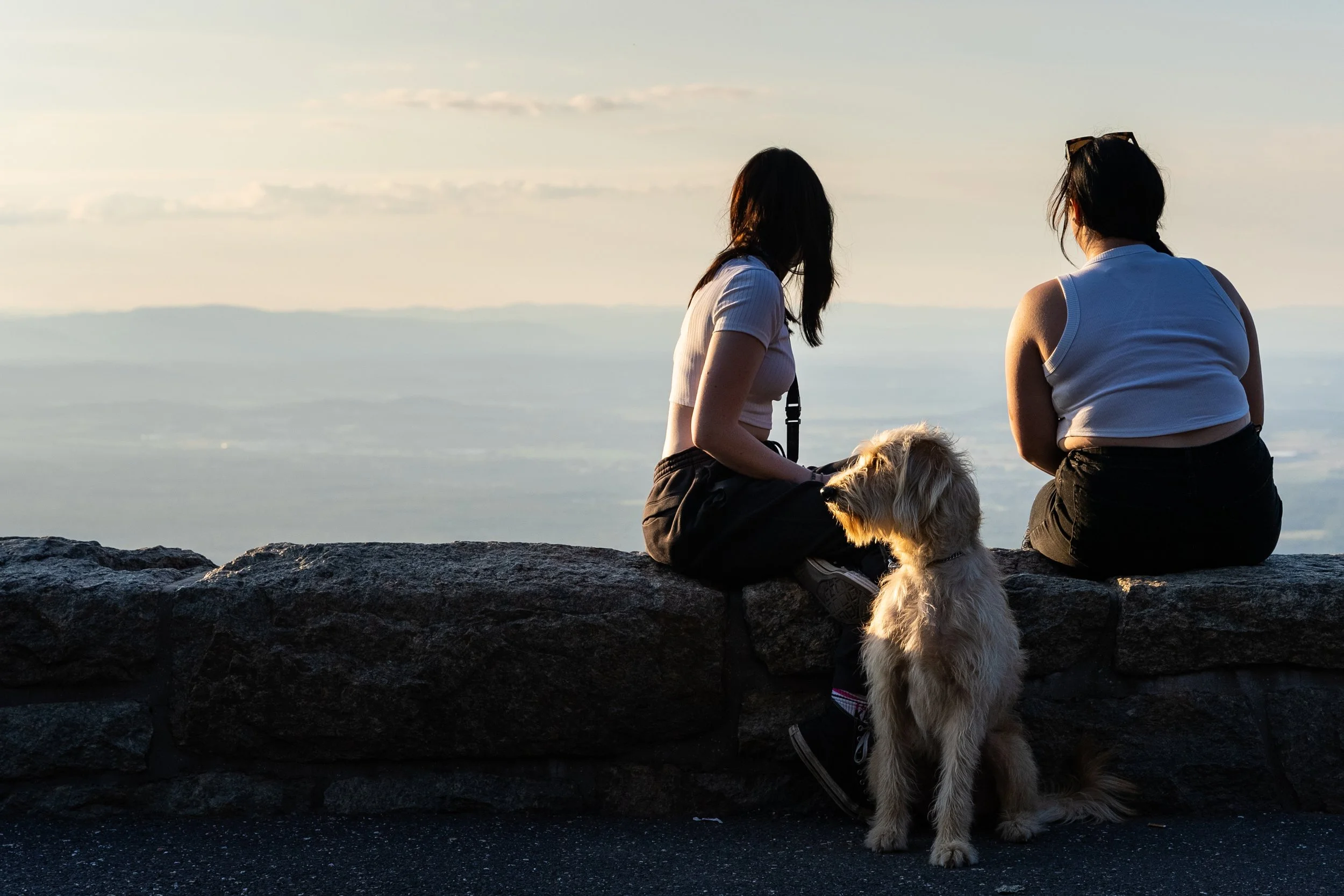 2022-08-15 - Driving on Blue Ridge Parkway - Full Res-1031.jpg