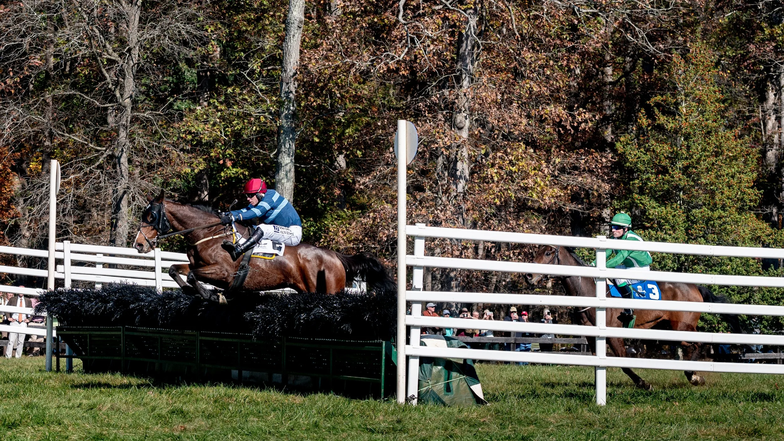 Montpelier Races - Full Res-1004.jpg