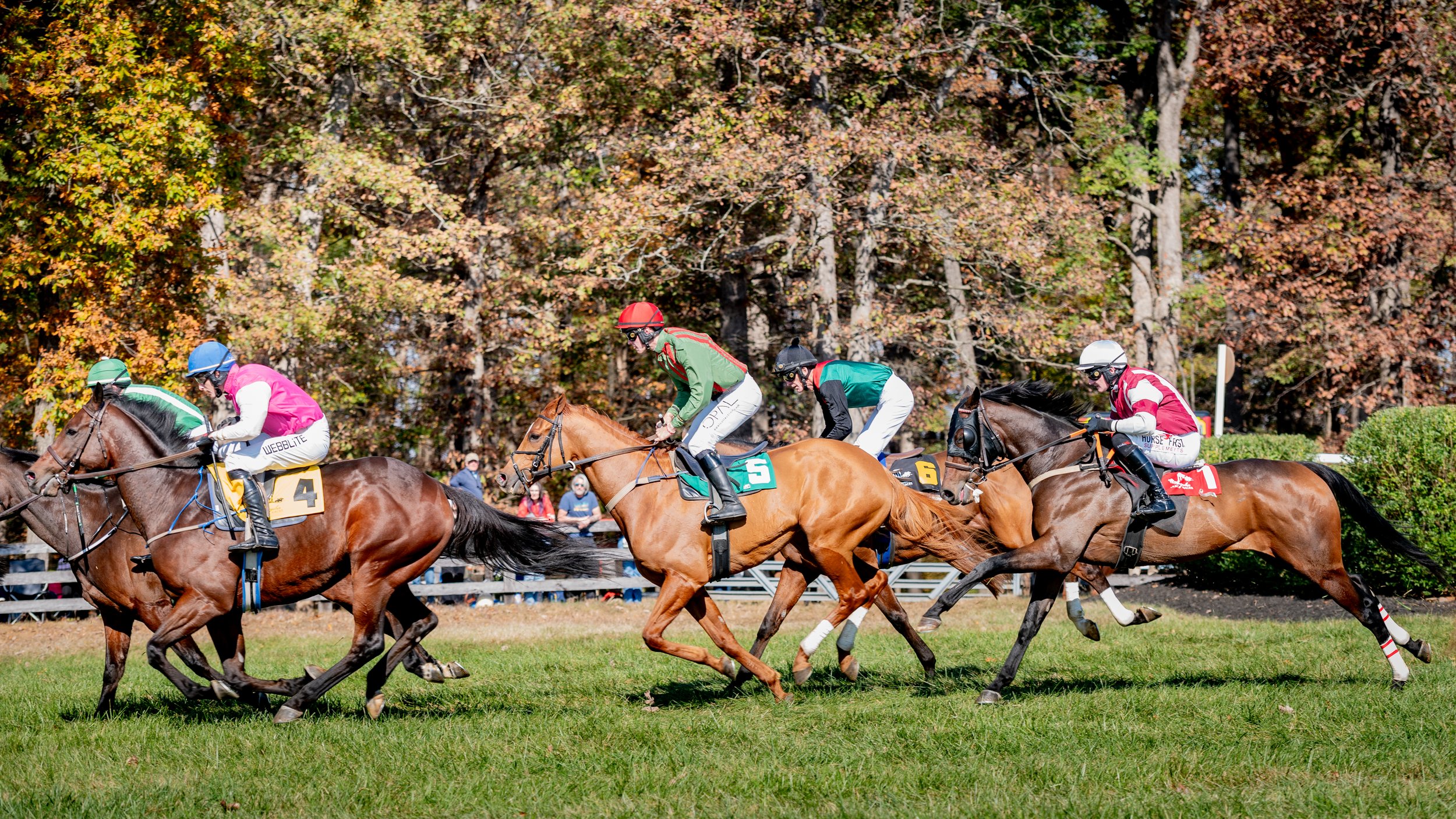Montpelier Races - Full Res-1005.jpg
