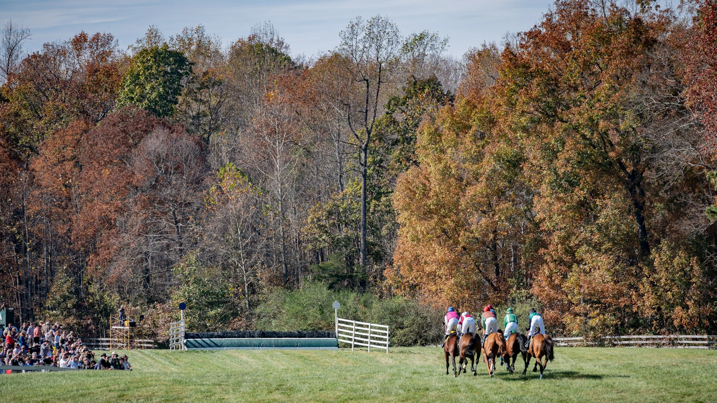 Montpelier Races - Full Res-1009.jpg