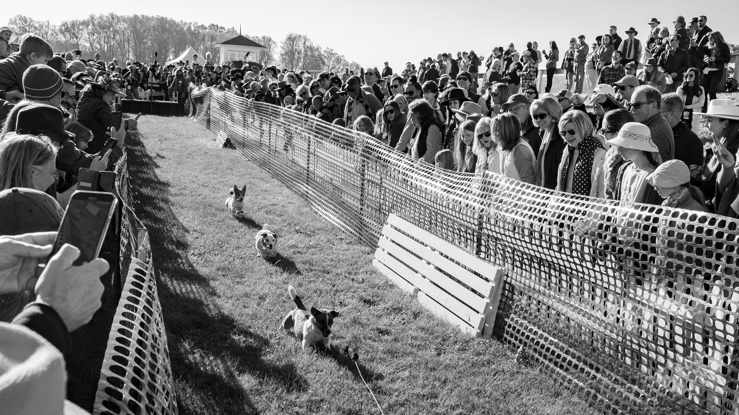 Montpelier Races - Full Res-1017.jpg
