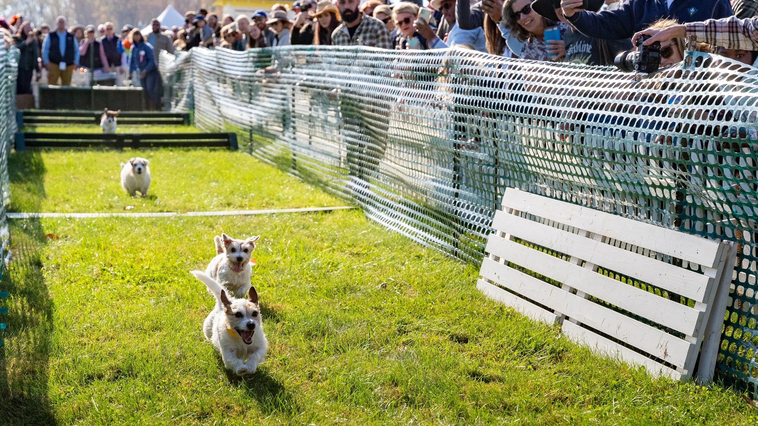 Montpelier Races - Full Res-1016.jpg