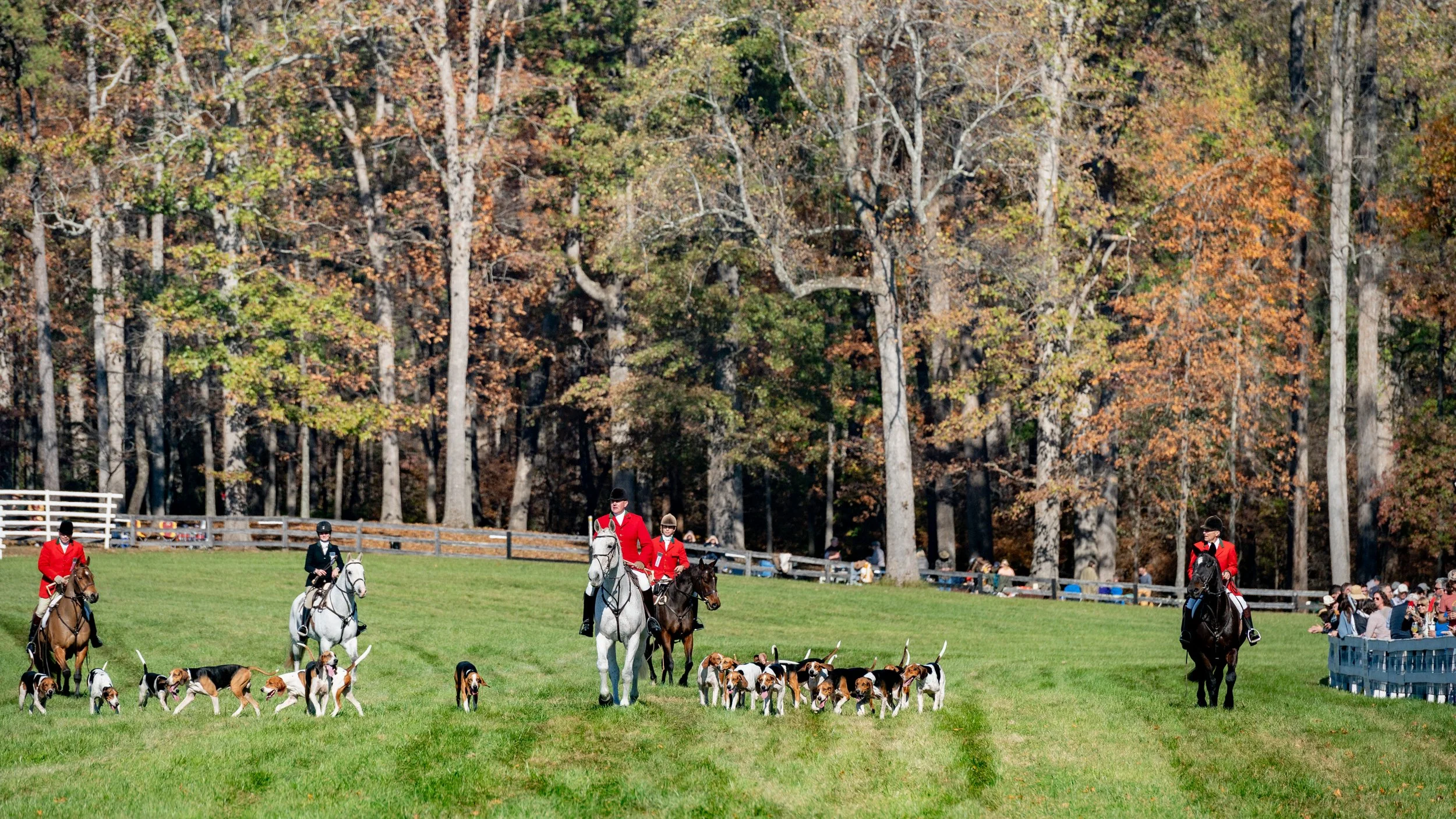 Montpelier Races - Full Res-1030.jpg