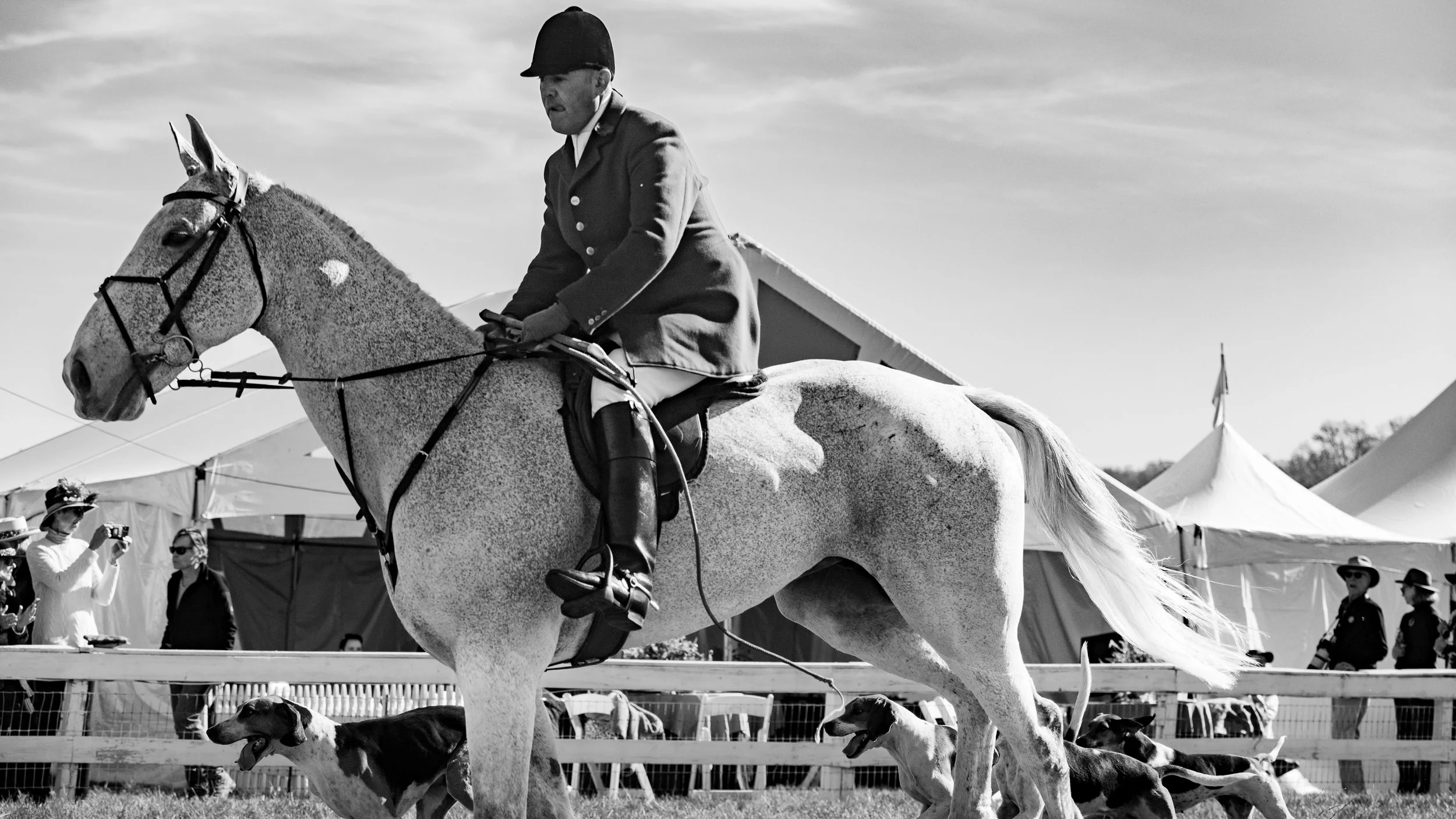 Montpelier Races - Full Res-1034.jpg