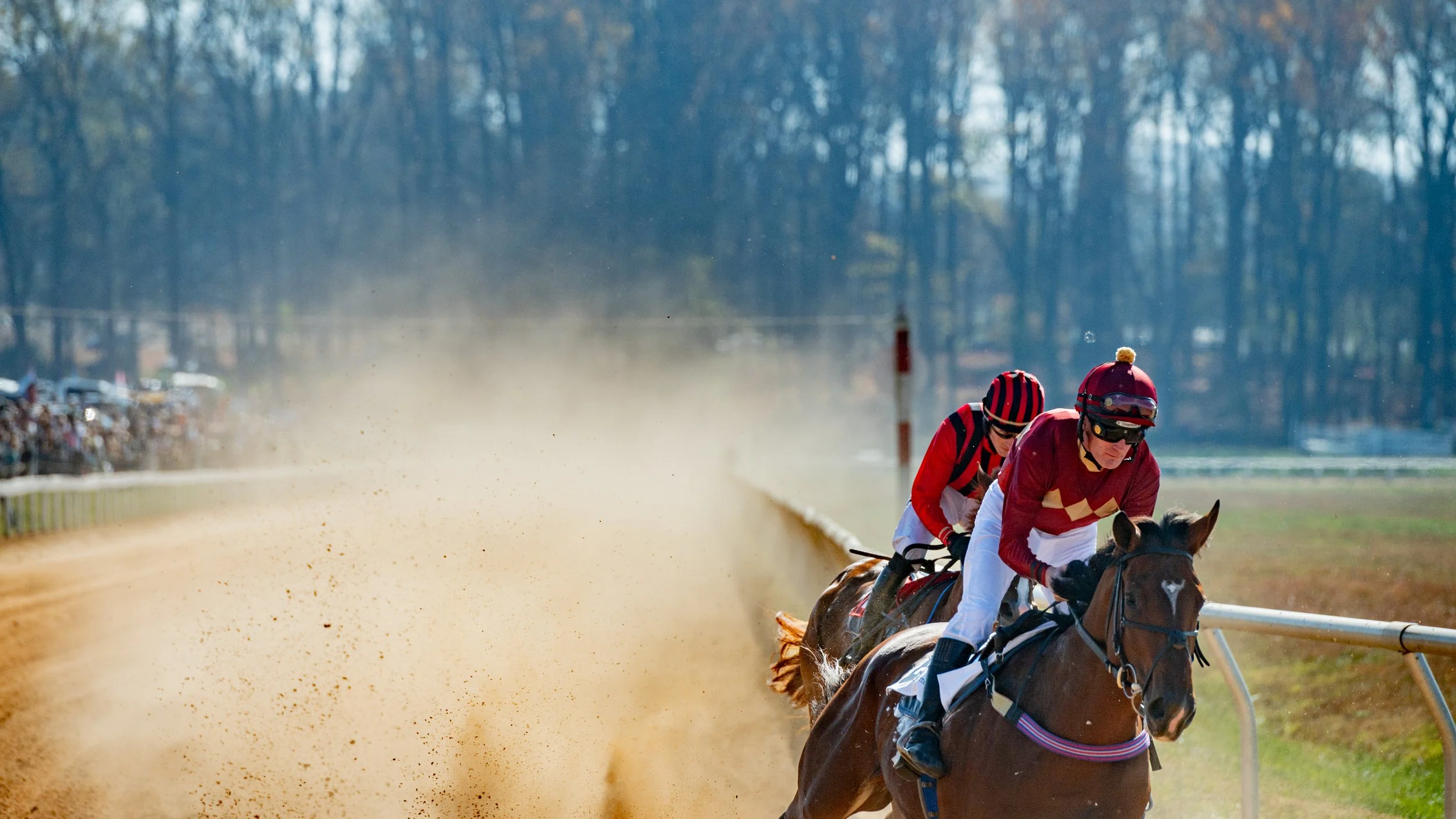 Montpelier Races - Full Res-1043.jpg