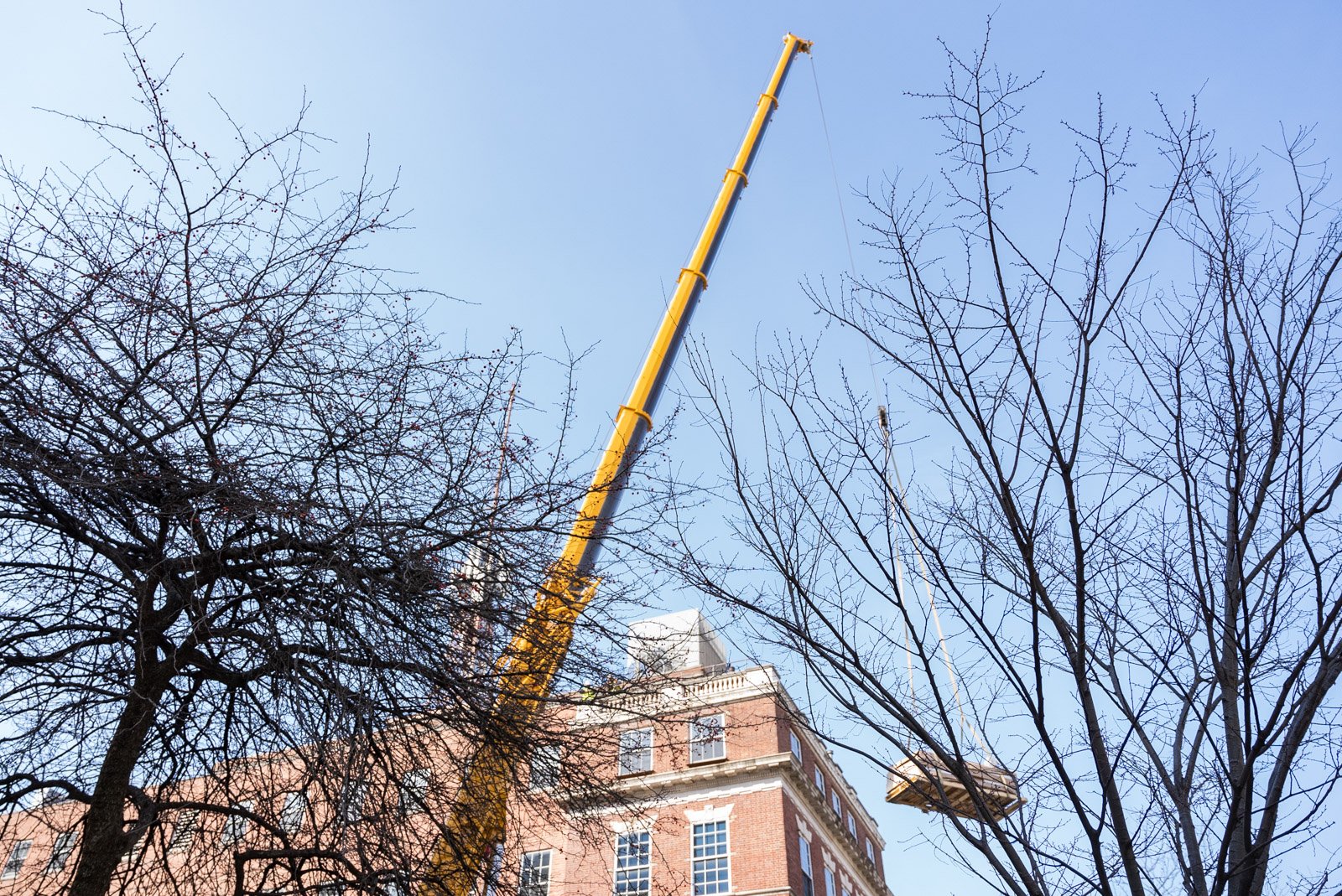 2022-03-07 - DC Crane Lift - For Web-1017.jpg