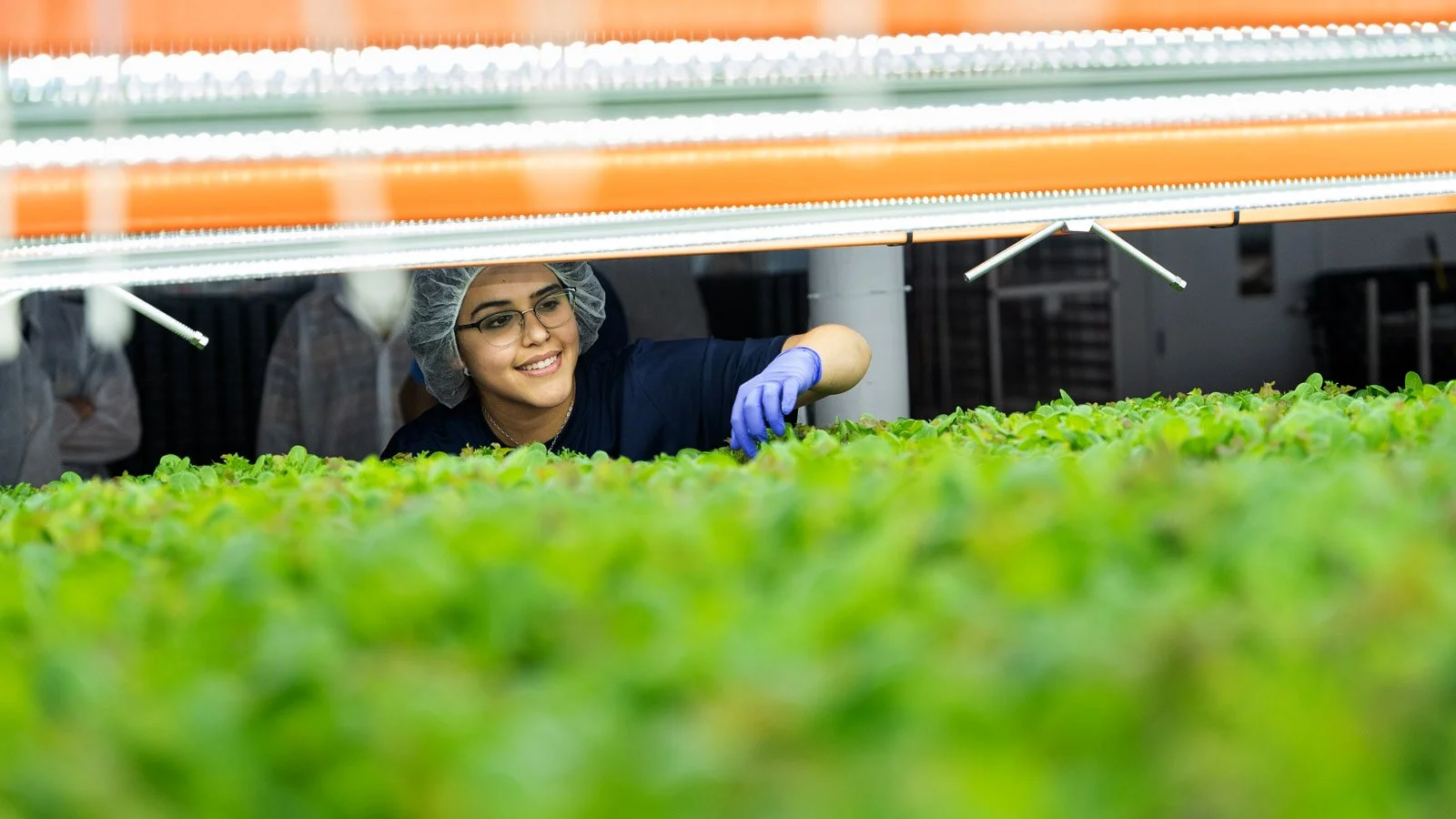 VEDP - Beanstalk - For Web-1022.jpg