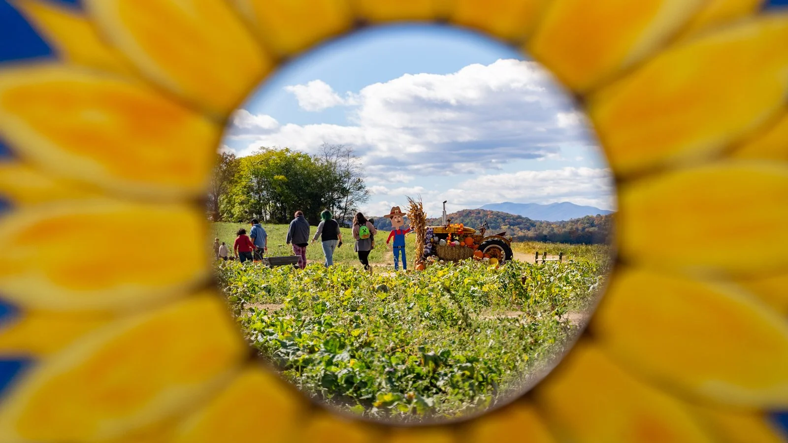 2023-10-26 - RoCo - Mt Crawford - Mulberry Hills Farm Fall Stock - For Web-1008.jpg