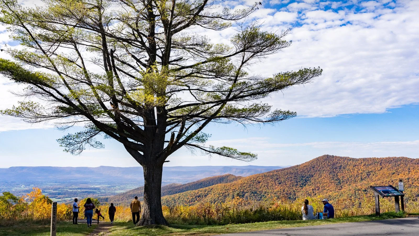 2023-11-07 - Fall Stock - For Web-1028.jpg