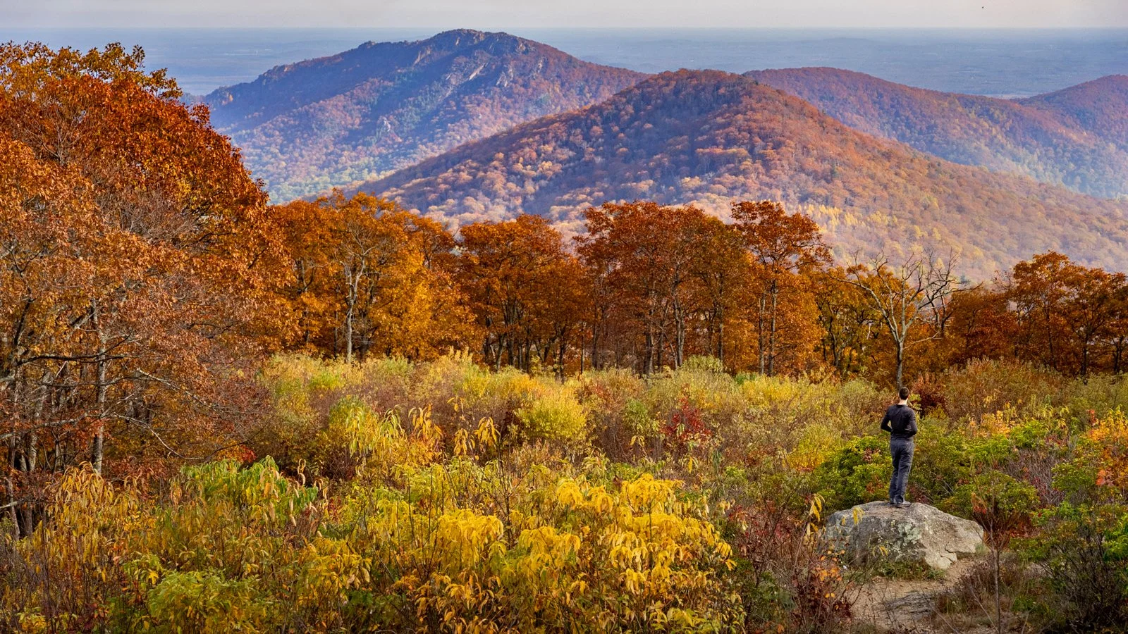 2023-11-07 - Fall Stock - For Web-1041.jpg