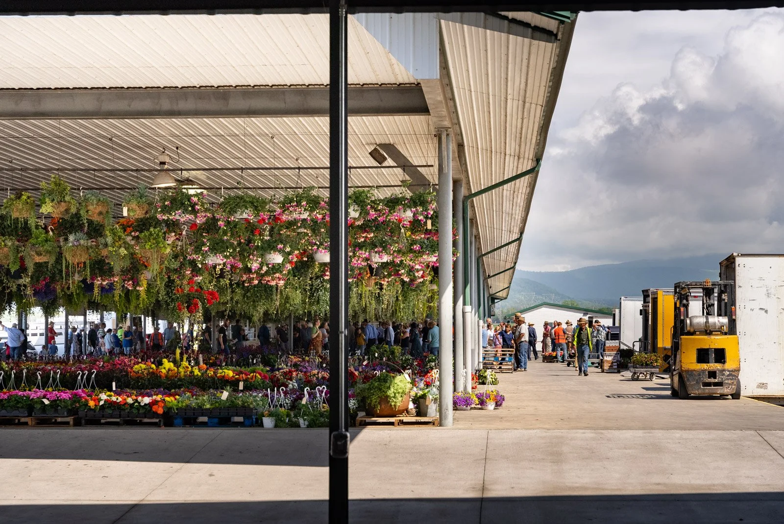 SV Produce Auction - For Web-1008.jpg