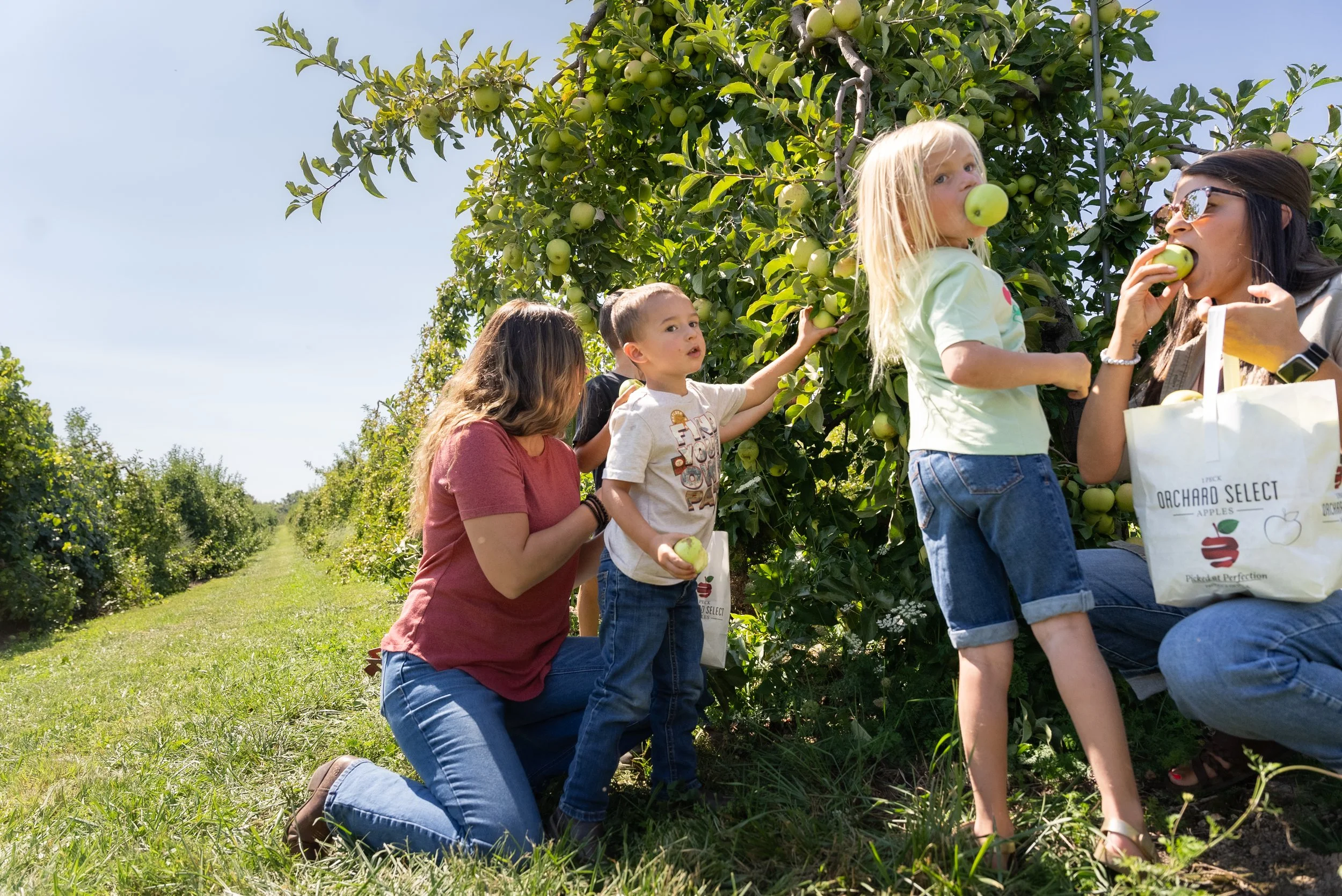 Showalters Orchard - Full Res-1019.jpg