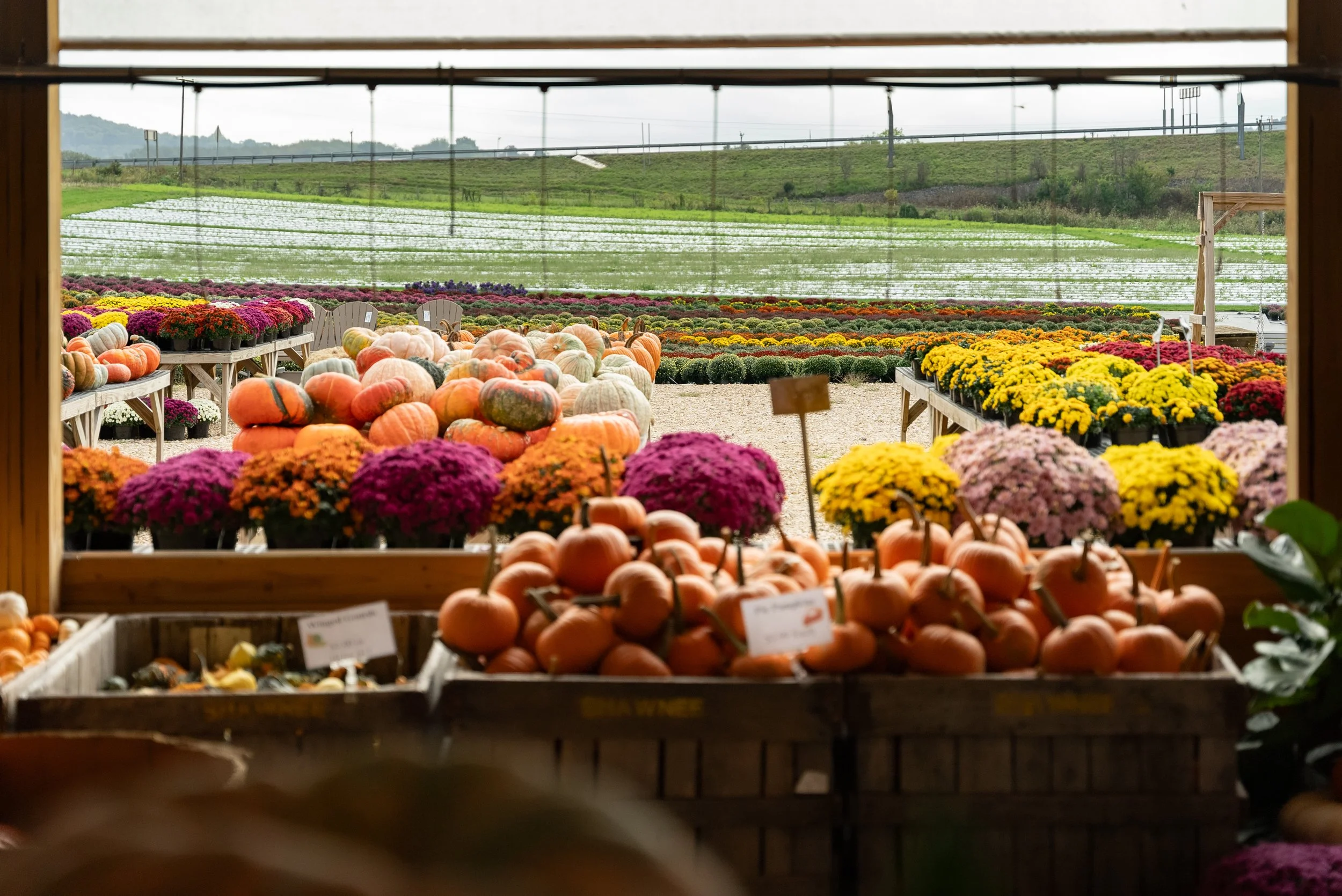 2024-10-04 - Overlook Produce - Full Res-1008.jpg