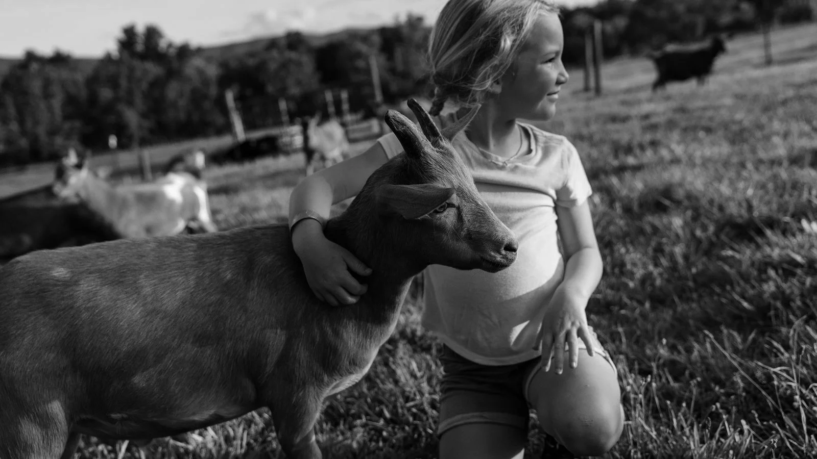 2022-08-03 - Kids n Goats Stock - For Web-1042.jpg