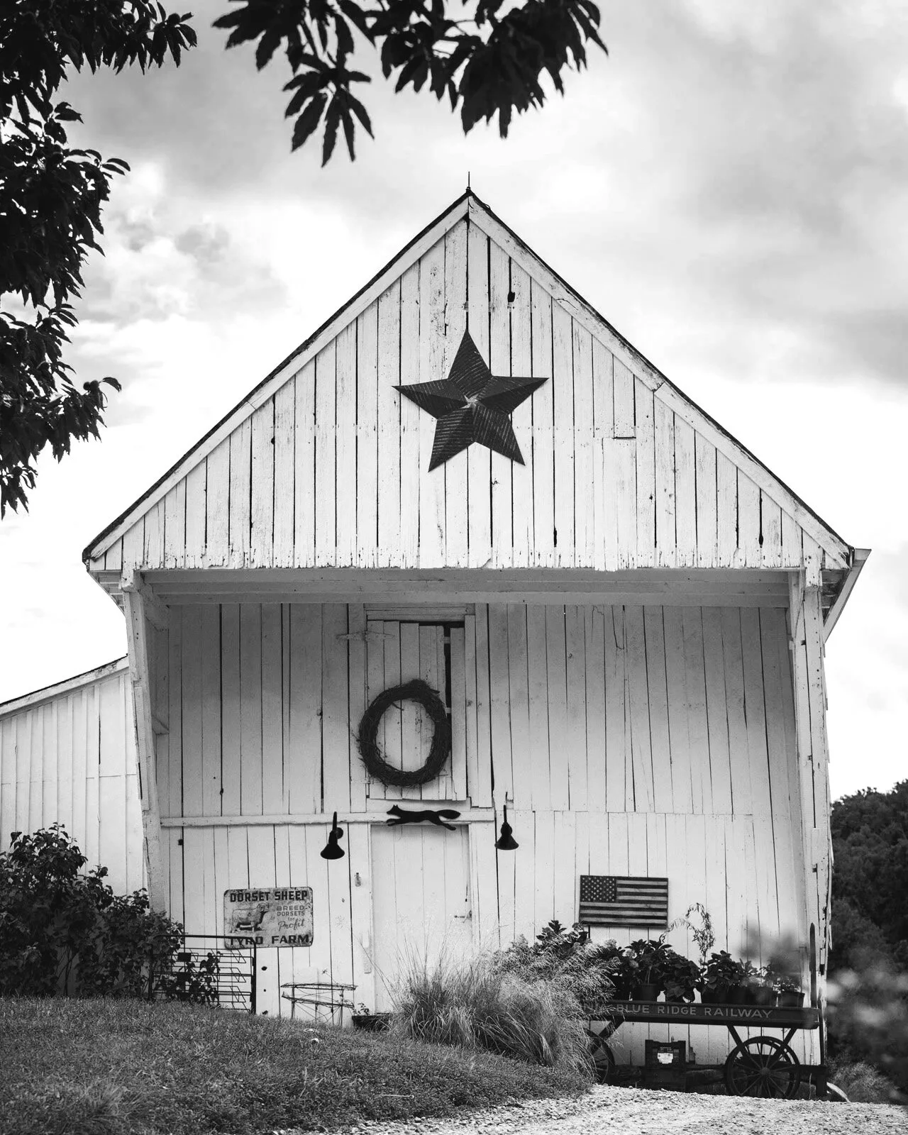 Pharsalia | Nelson County, VA