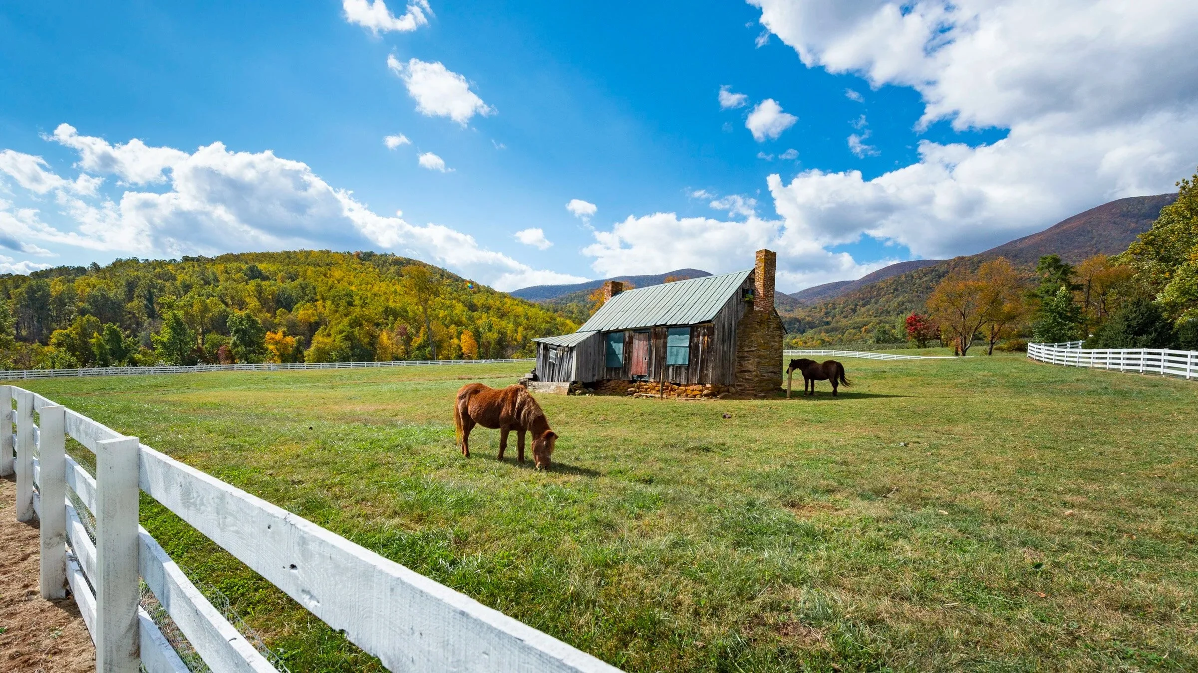 Pharsalia | Nelson County, VA