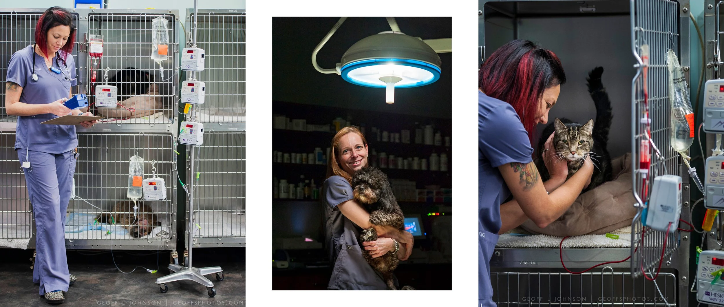 Veterinary_2026_geoffsphotos.jpg